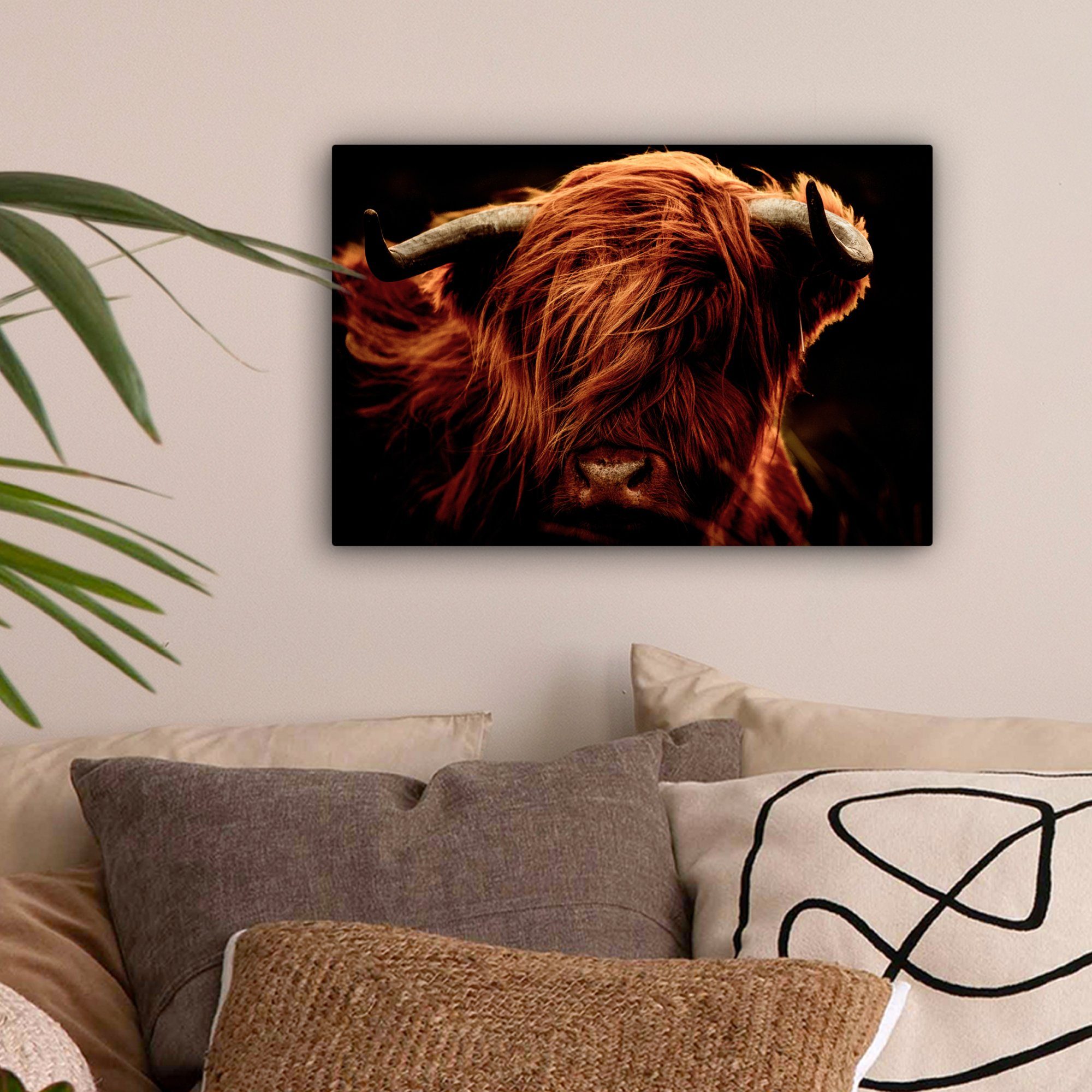 OneMillionCanvasses® Leinwandbild Schottischer Highlander - Kuh - Hörner - günstig online kaufen