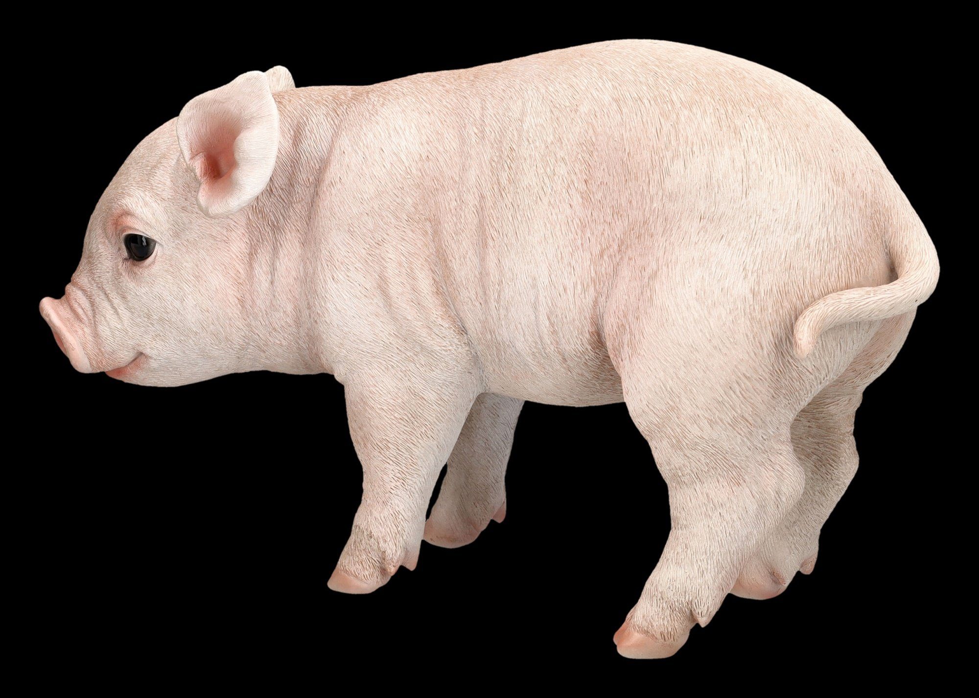 Figuren Shop GmbH - - Schweinchen Schwein Figur Ferkel Tierfigur Dekoration Tierdekofigur Schweine