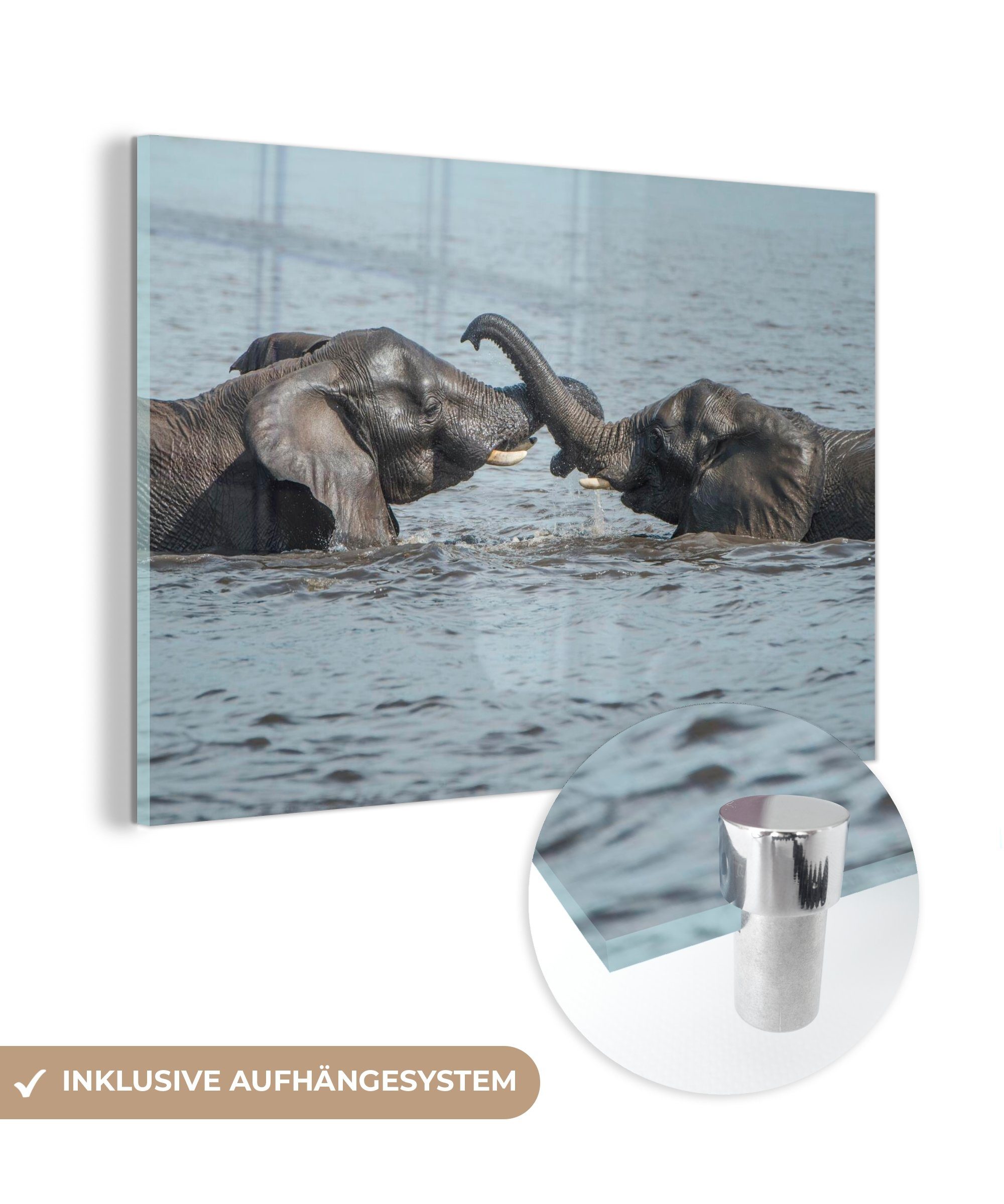 - & Acrylglasbilder Wasser, Wohnzimmer MuchoWow Schlafzimmer Fluss Elefant St), - Acrylglasbild (1
