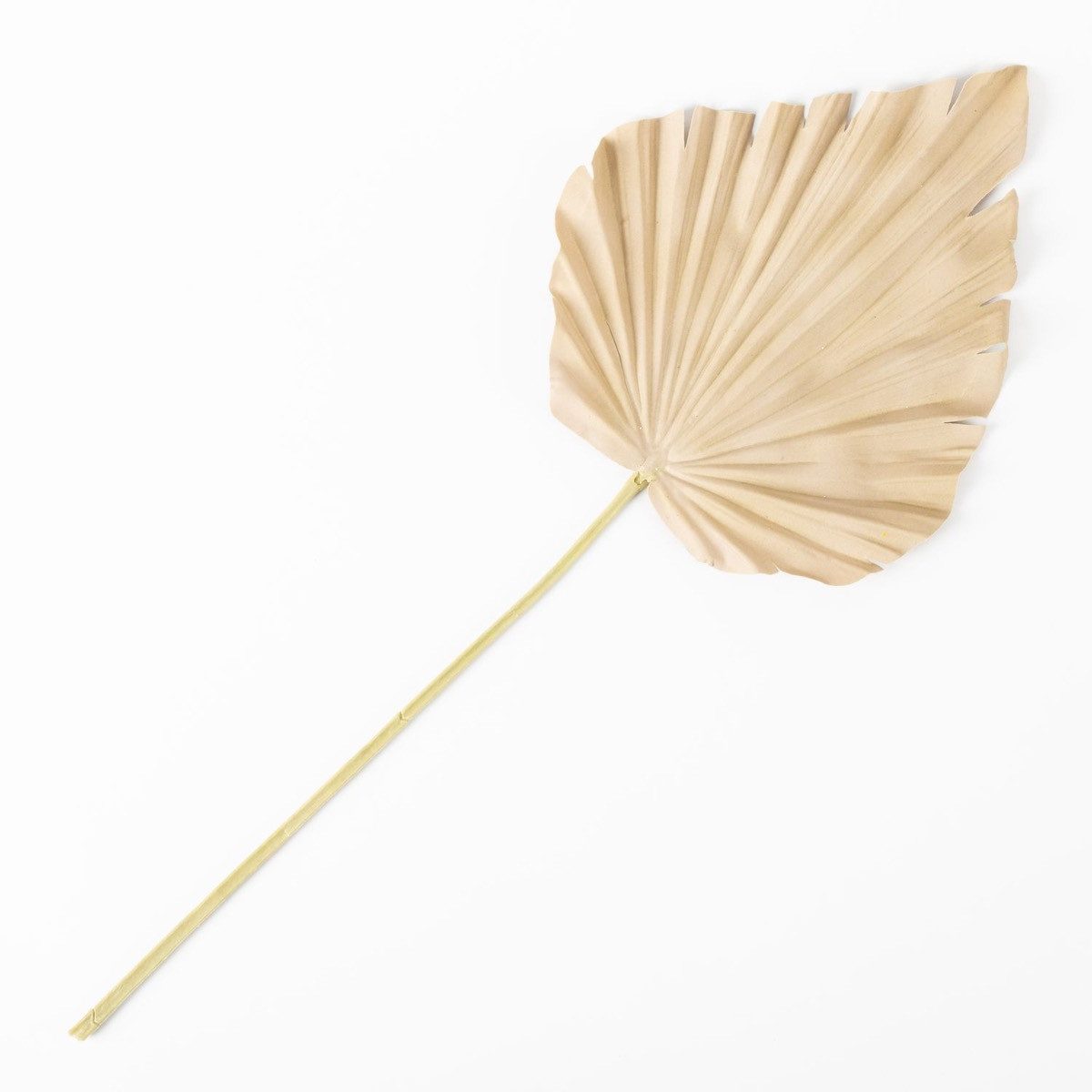 Kunstpflanze Deko Palmwedel Washingtonia Runing, beige-gelb, 60 cm Washingtonpalme, artplants, Höhe 60.0 cm