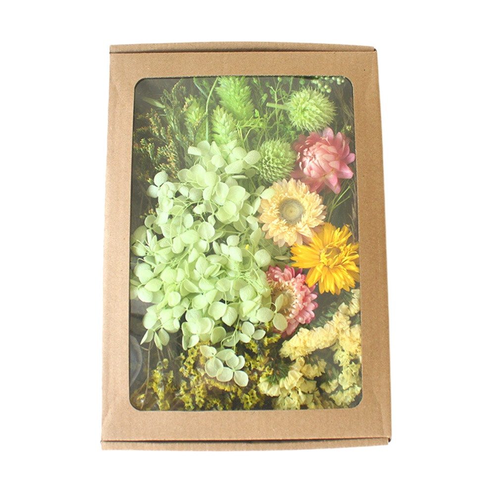 Trockenblume Klein Trockenblumen Deko Trockenblumen mit Papierbox Getrocknete Blumen, Trockenblumen zum Basteln, Coonoor, für Heimwerken Harz Scrapbooking Karten Heimdekoration