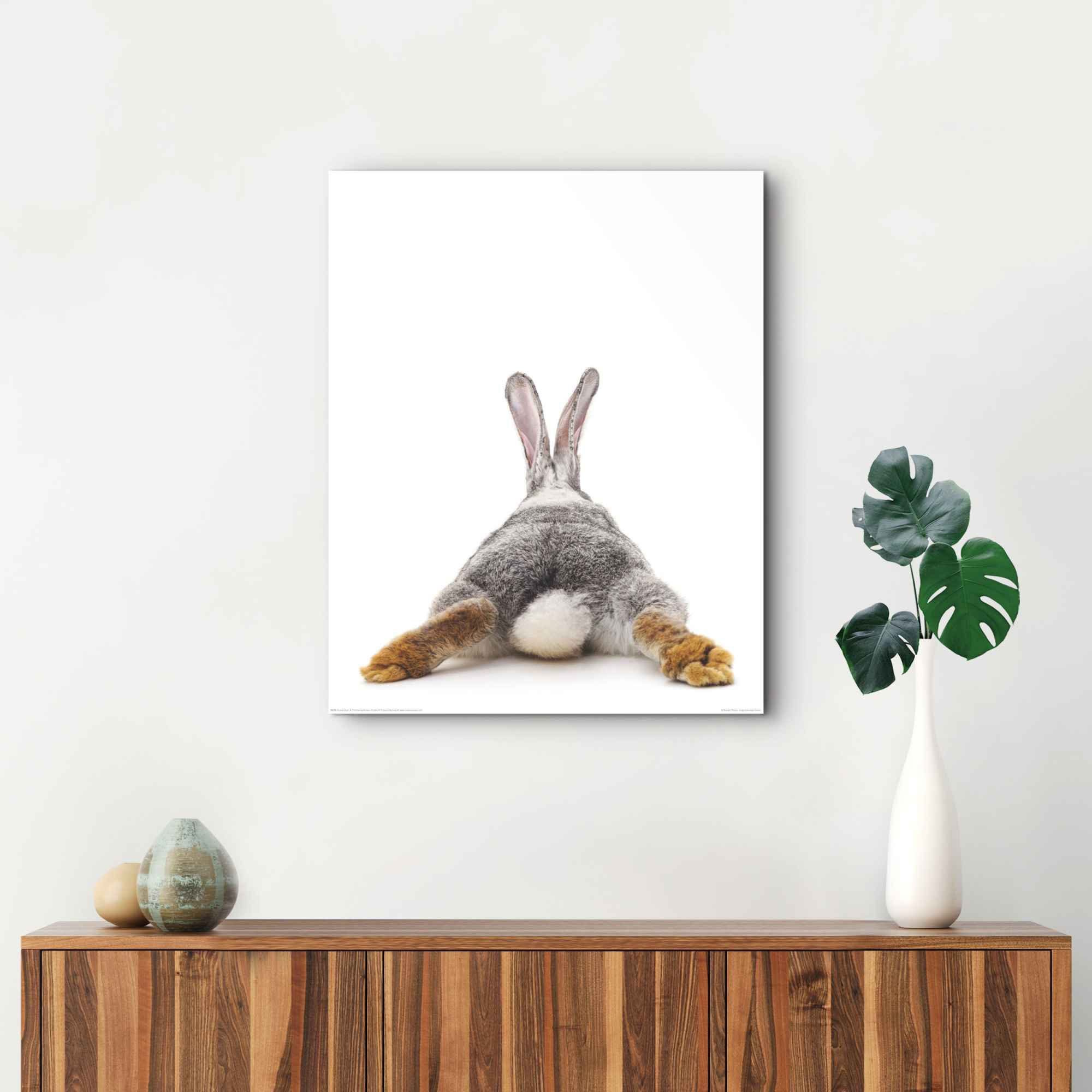 Reinders! Wandbild Hase Schwanz - - Rabbit Wandbild St) Kaninchen Relax, - (1 Hasen