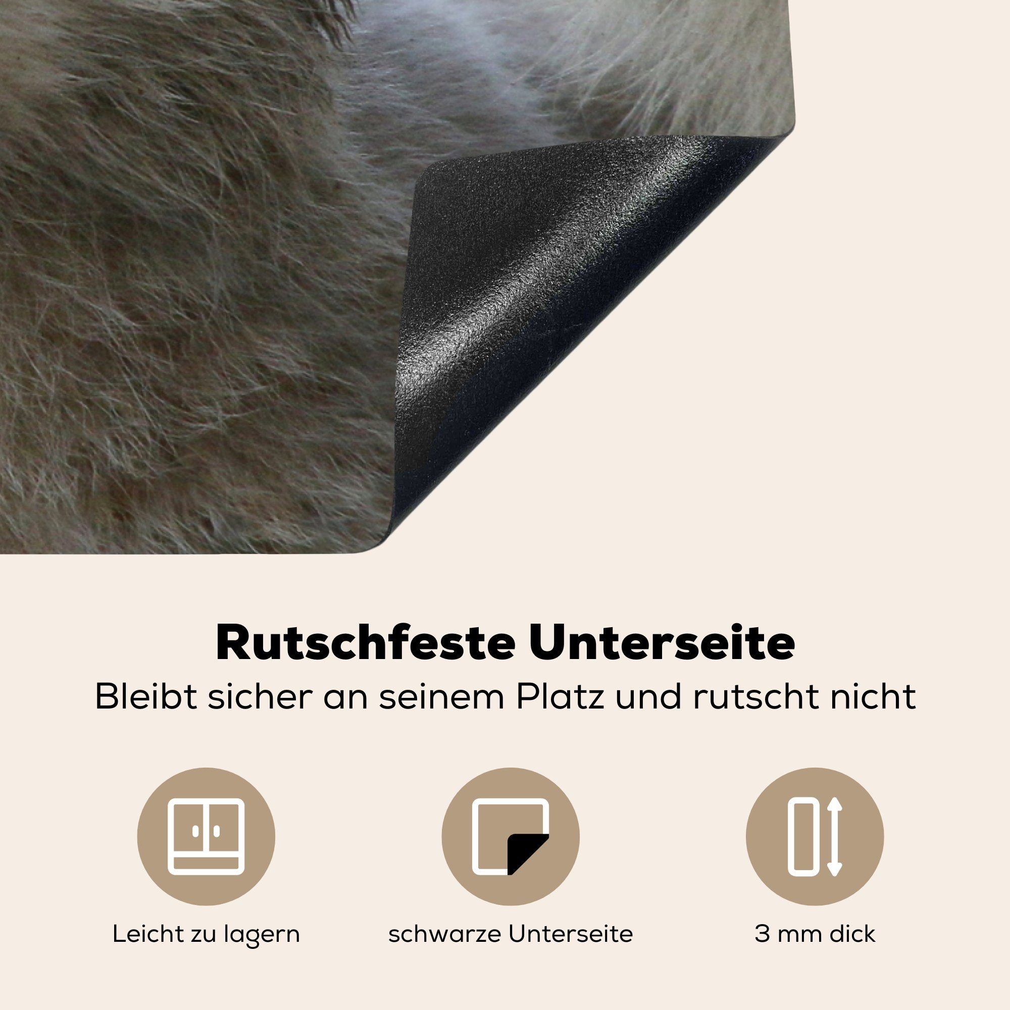 MuchoWow Herdblende-/Abdeckplatte Eisbär - Jungtier küche, (1 - die Vinyl, Weiß, Ceranfeldabdeckung cm, für Induktionskochfeld 81x52 tlg), Schutz