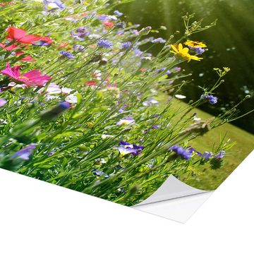 Posterlounge Wandfolie Lichtspielart, Auf einer sonnigen Wildblumenwiese, Fotografie