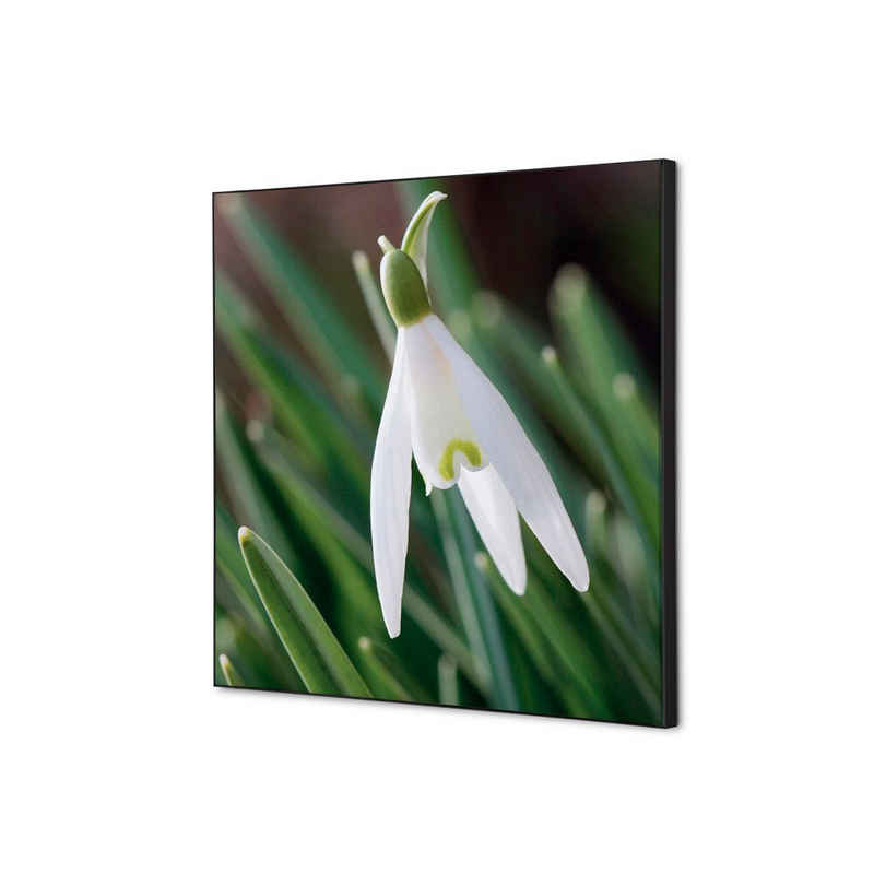 Generic Wandsticker 40x40cm - Weiße Blume Schneeglöckchen - Schwarzer Rahmen (1 St)
