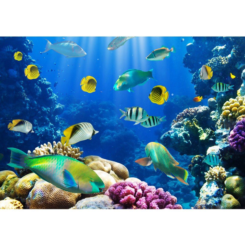 liwwing Fototapete Fototapete Aquarium Meer no. Fische Unterwasser Tiere Korallenrif Riff 33, Meereswelt