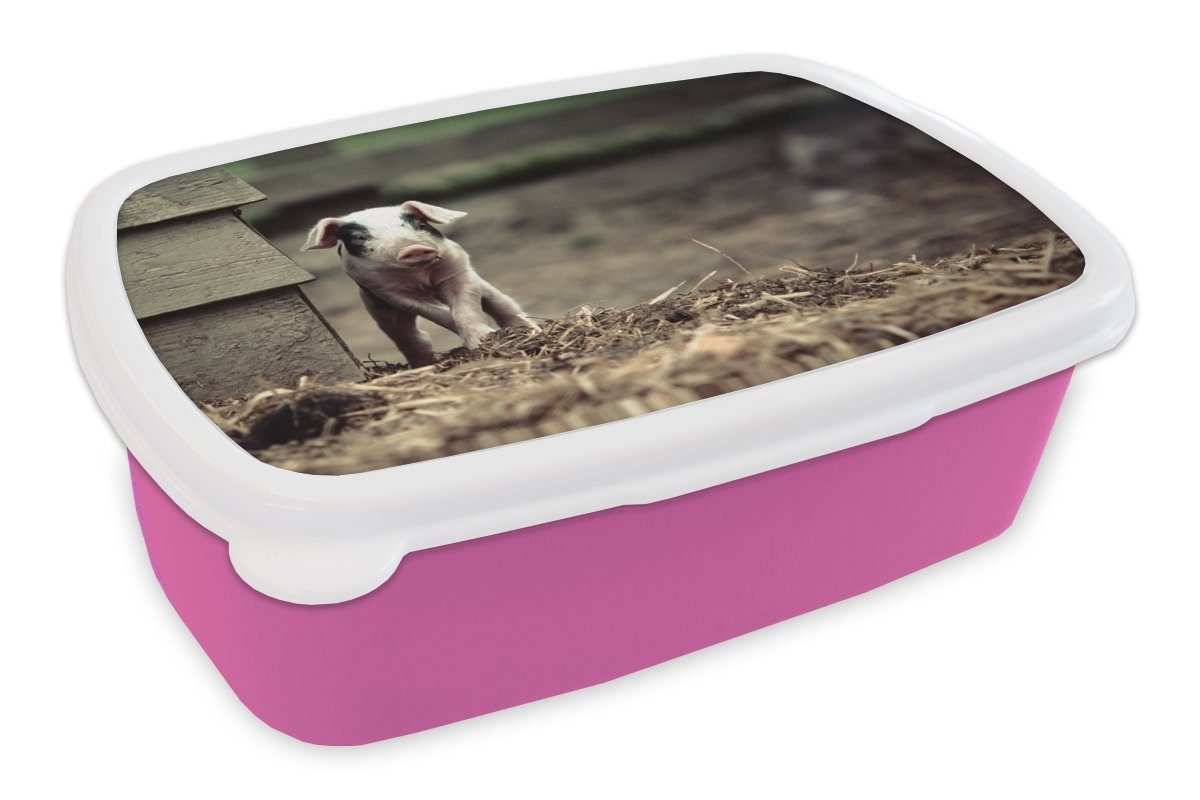 MuchoWow Lunchbox Schwein - Stall - Baby, Kunststoff, (2-tlg), Brotbox für Erwachsene, Brotdose Kinder, Snackbox, Mädchen, Kunststoff rosa