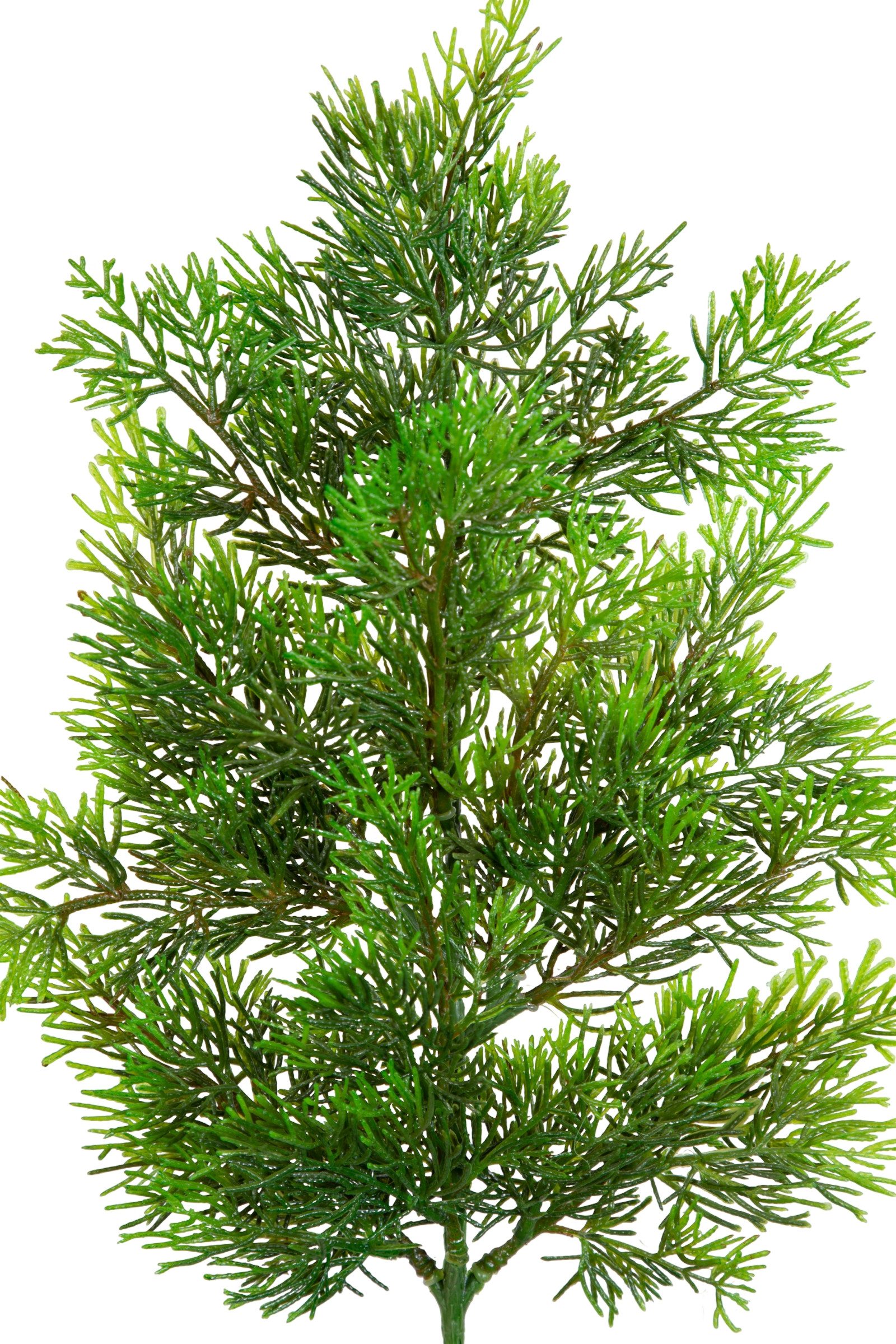 Kunstzweig Zedernzweig Nature ZJ Kunststoff 100% PE Spritzguss künstliche Zeder, Seidenblumen Roß, Länge: cm 50cm