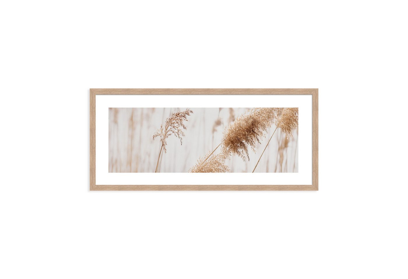 artissimo Bild mit Rahmen Gerahmtes Poster 70x30 cm / Wandbild modern / Wanddeko lang schmal, Natur und Gräser: Pampasgras in Beige Weiß