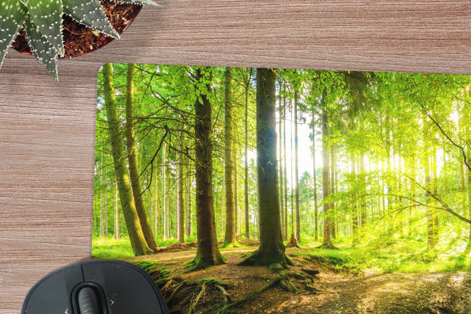 MuchoWow Mauspad Wald - Landschaft - Wasser - Bäume - Sonne - Grün - Natur (1-St), Mouse pad Klein, Gaming Deko, PC Zubehör, 27x18 cm – Bild 2 von 5
