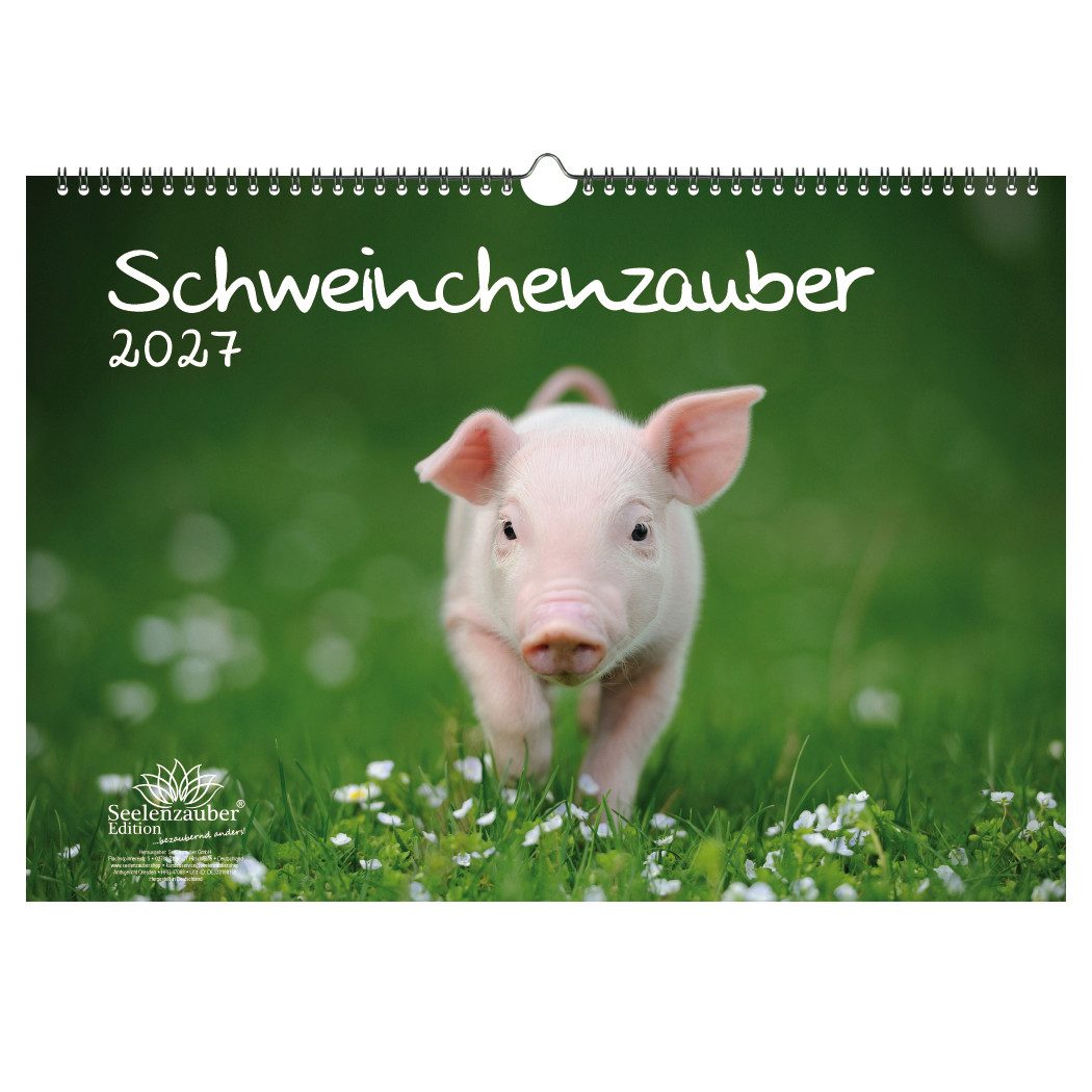 Seelenzauber Wandkalender Schweinchenzauber DIN A3 Kalender für 2027 Schweine Schweinchen