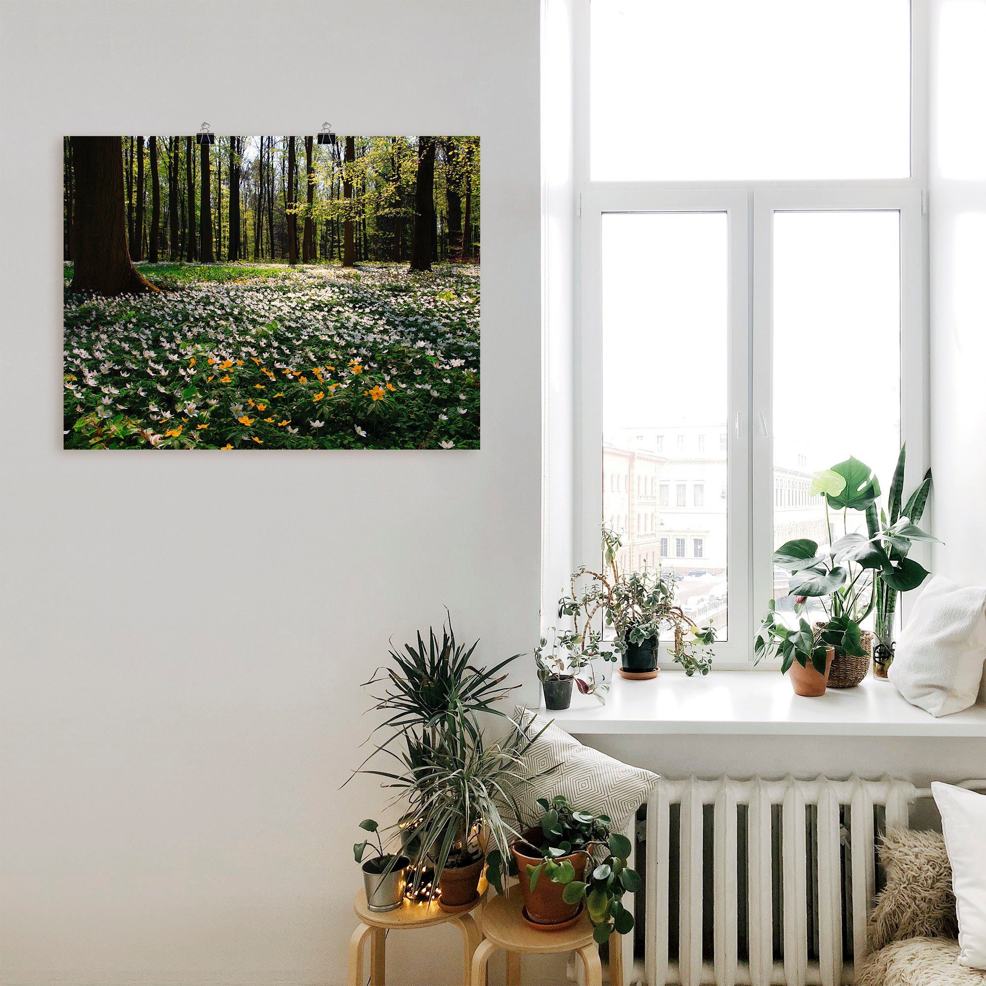 als versch. Größen Windröschen, (1 mit oder Leinwandbild, Wald Wandbild in Poster Artland Wandaufkleber St), Frühlingswald bedeckt