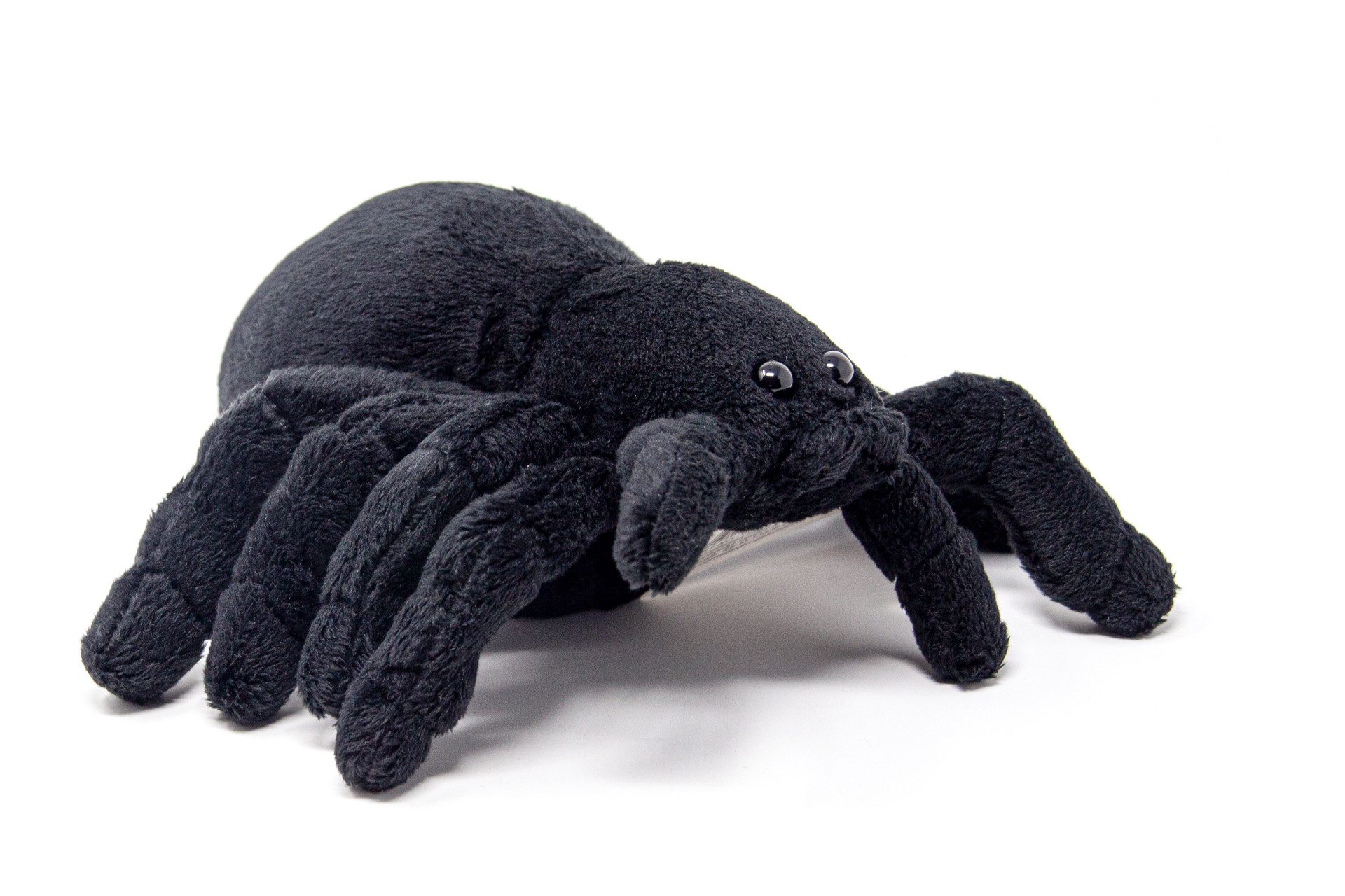 Cornelißen Kuscheltier Cornelissen - Kuscheltier - Spinne Vogelspinne - tiefschwarz - 20 cm