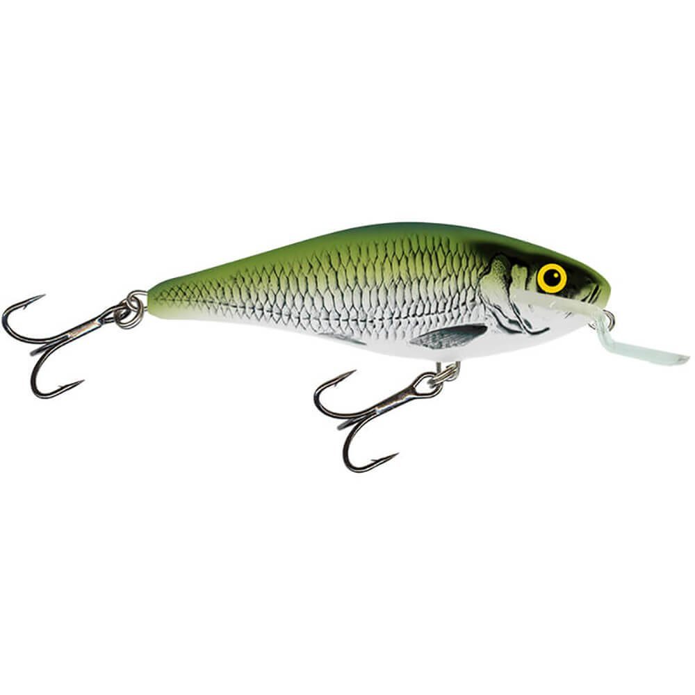 Olive Bleak