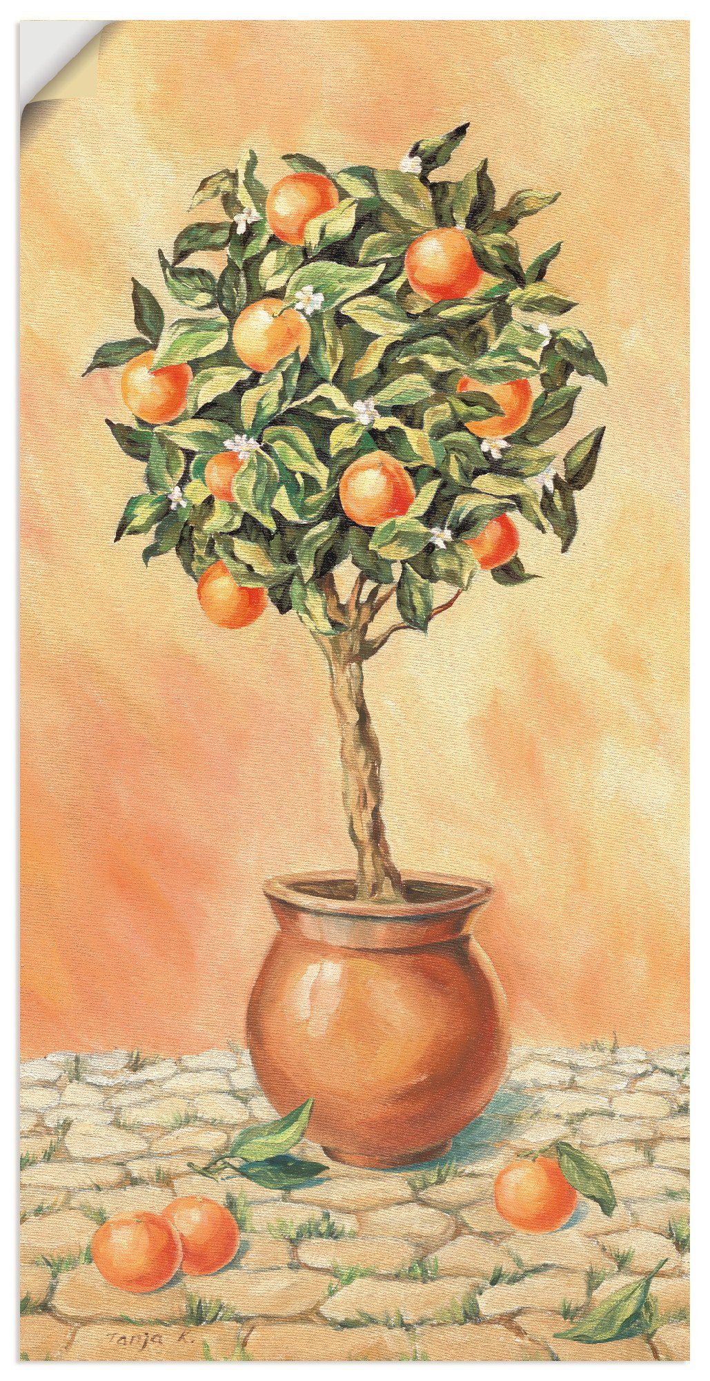 oder Wandbild I, Größen Leinwandbild, Poster (1 als versch. Pflanzen Alubild, Artland in Orangenbaum Wandaufkleber St),
