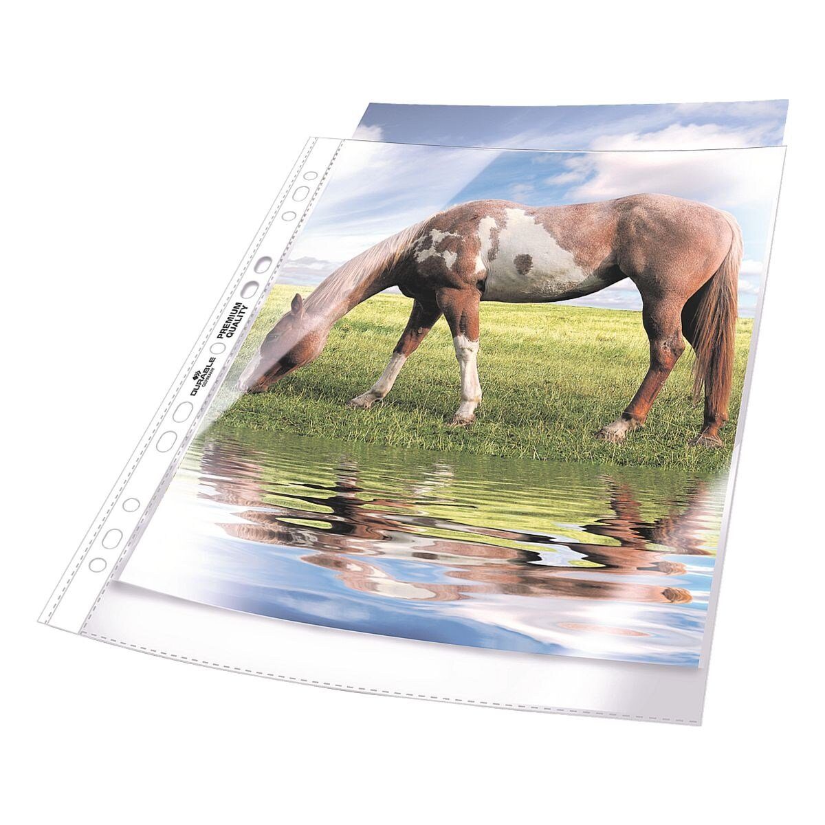 DURABLE Prospekthülle, 50 Stück, glasklar, Format A4, Universallochung, Öffnung oben