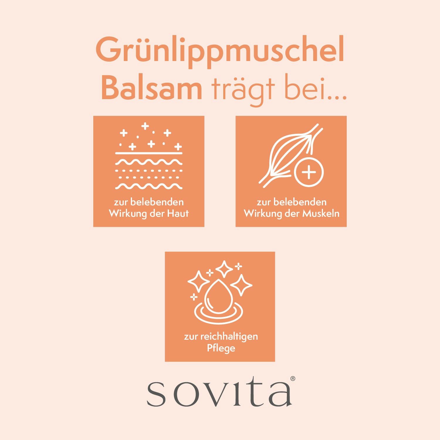 Ascopharm sovita Grünlippmuschel Balsam 100ml 1, 1 er