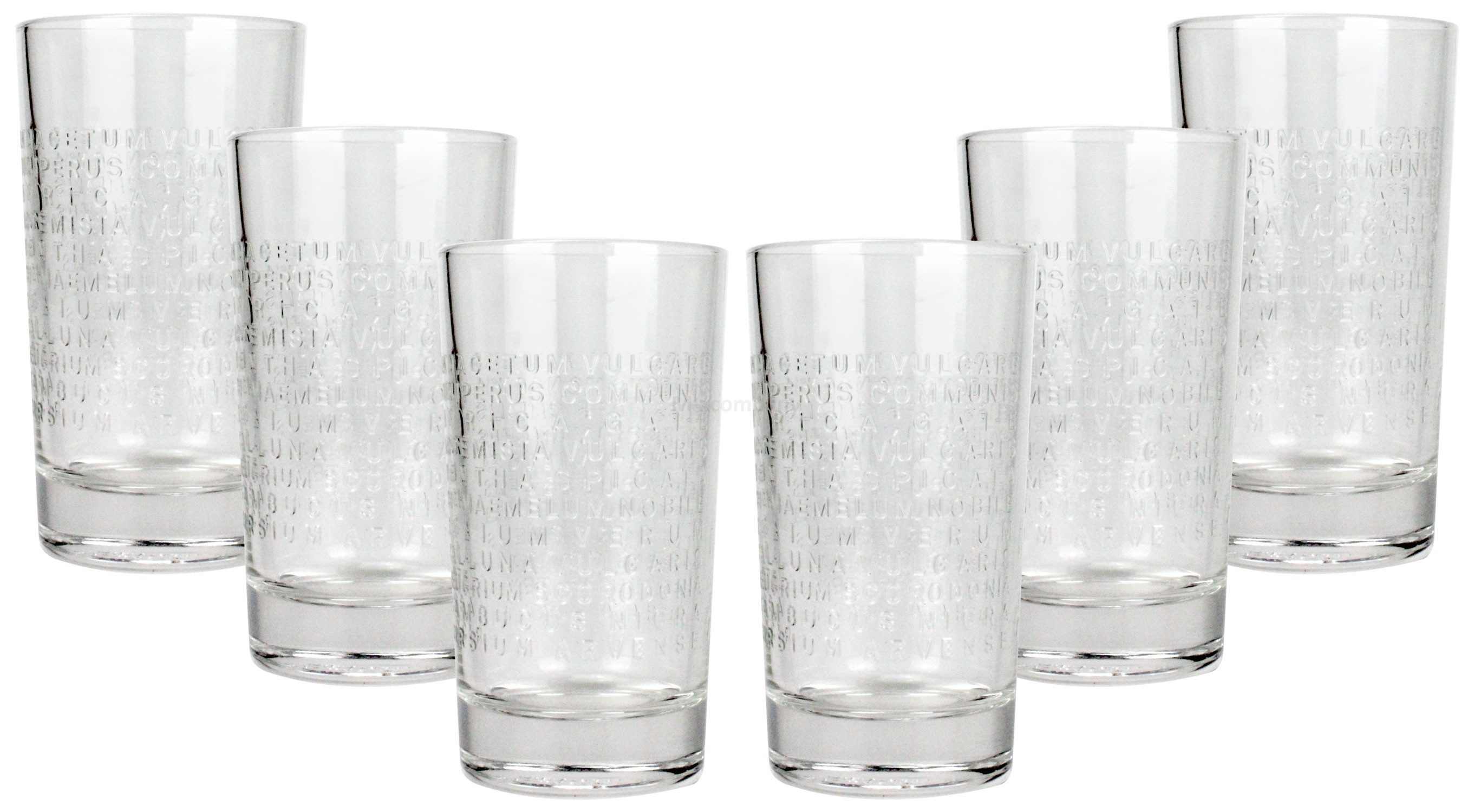 Glas The Botanist gin Glas Gläser Set - 6x Longdrinkgläser Bar Cocktail