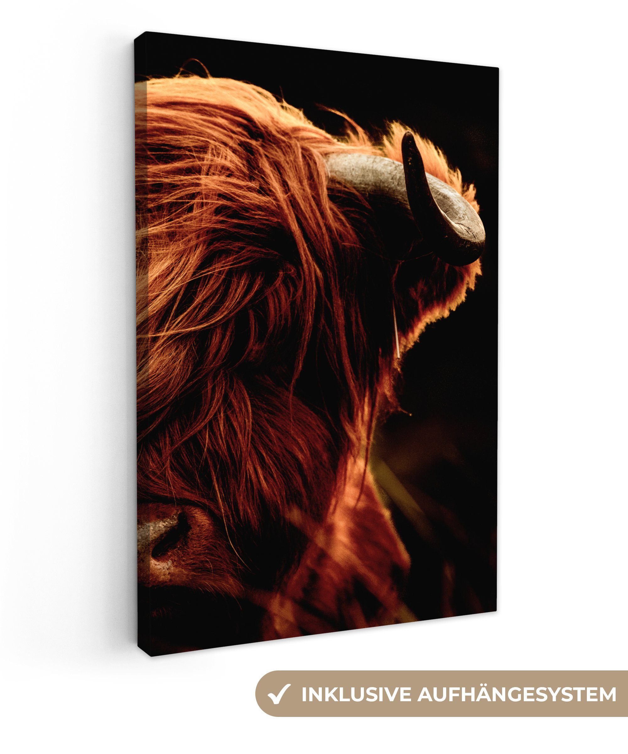 OneMillionCanvasses® Leinwandbild Schottischer Highlander - Kuh - Hörner - Porträt - Tiere, Schottisches Hochlandrind - Hörner (1 St), Leinwandbild fertig bespannt inkl. Zackenaufhänger, Gemälde, 20x30 cm