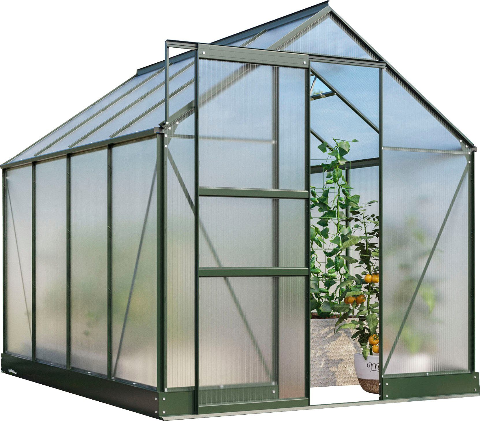 Vitavia Gewächshaus Apollo 5000, BxTxH 195 x 261 x 207,4 cm, 6 mm