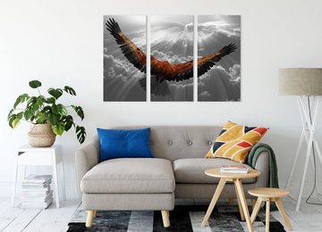 Pixxprint Leinwandbild anmutiger Adler über den Wolken, anmutiger Adler über den Wolken 3Teiler (120x80cm) (1 St), Leinwandbild fertig bespannt, inkl. Zackenaufhänger