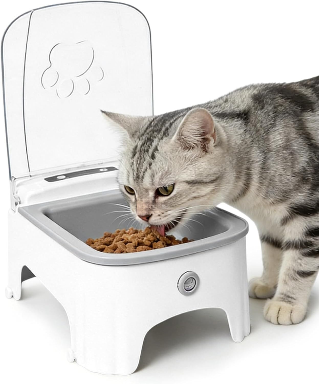 FELIXLEO Trinkbrunnen Futterautomat Katze Hund Automatisch Zeitgesteuert Grau ABS 3L