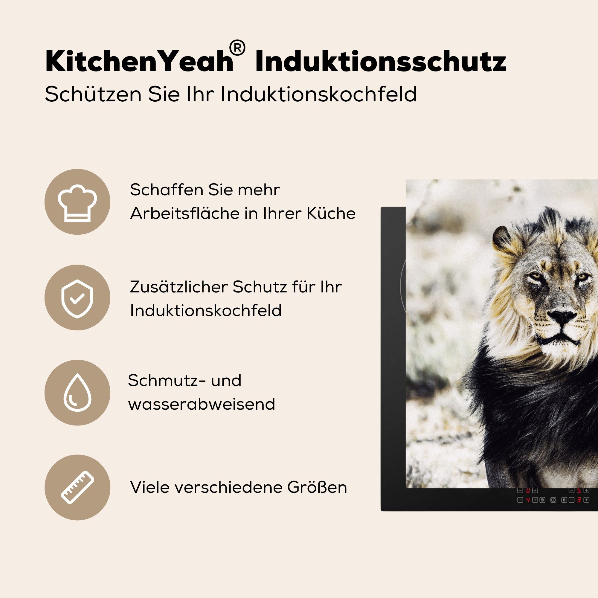 tlg), küche 78x78 Löwe Arbeitsplatte Wilde cm, Schwarz, - (1 Tiere Vinyl, für Herdblende-/Abdeckplatte - MuchoWow Ceranfeldabdeckung,