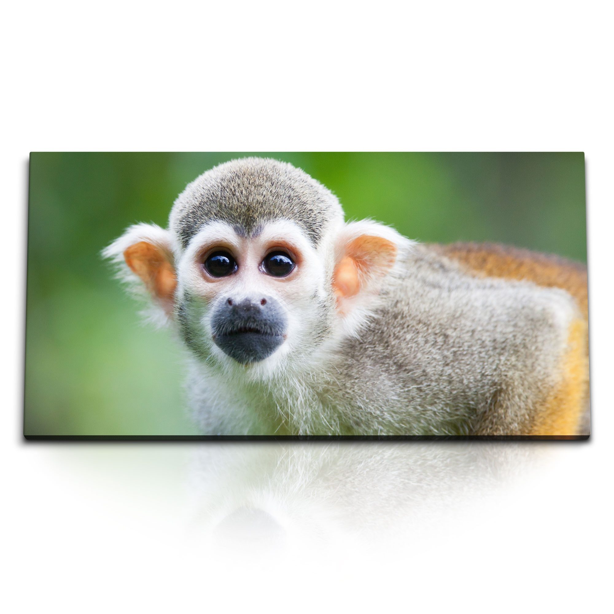 Leinwandbild Kunstdruck Bilder 120x60cm Totenkopfaffe kleiner Affe Tierfotografie Ä