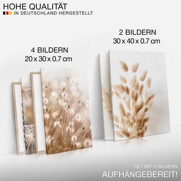 Novart Wandbild Boho Beige Pampas Wohnzimmer Deko, Boho2