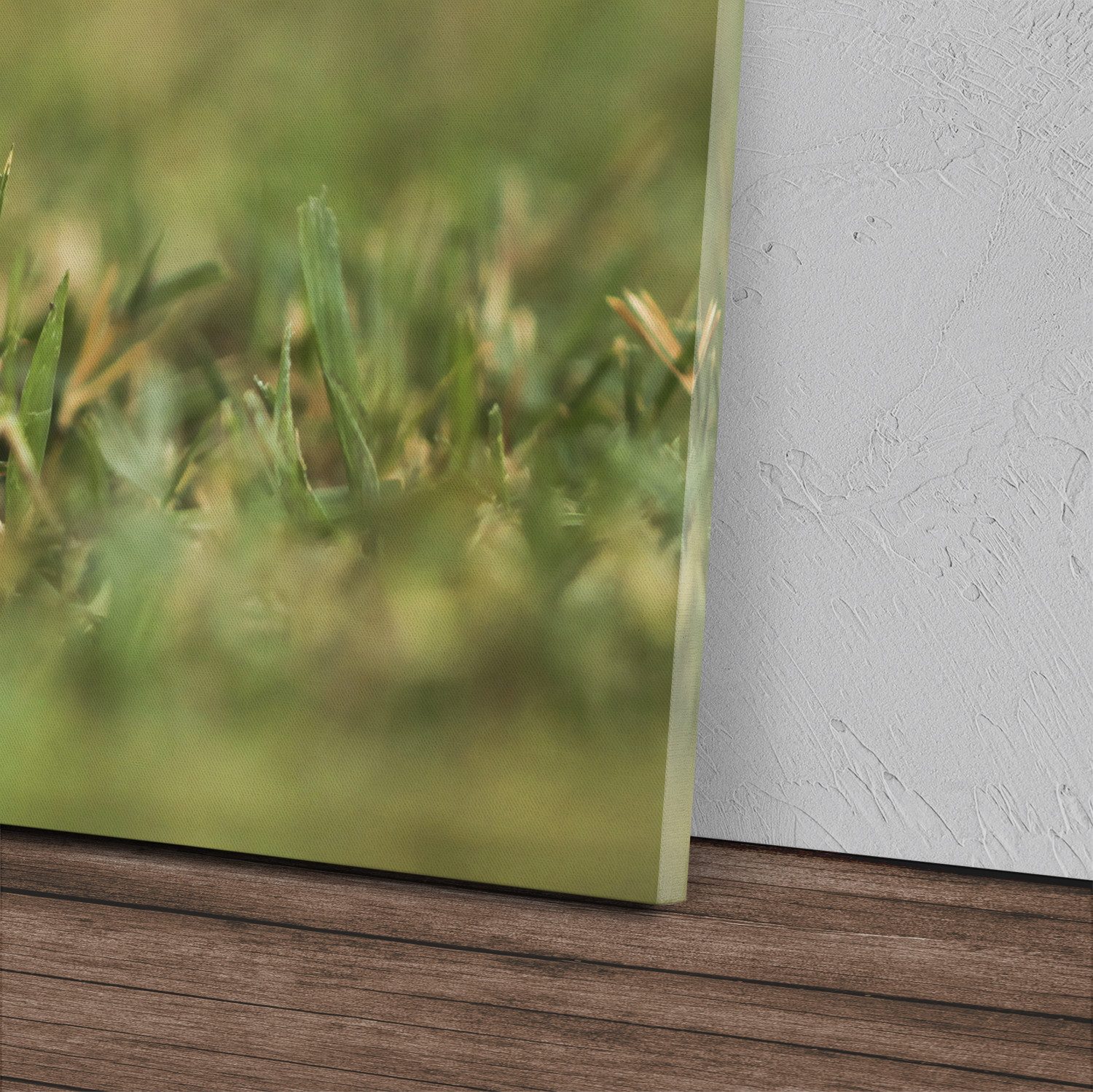 Sinus Art Leinwandbild Kunstdruck Bilder 120x60cm Kleine Hamster im Gras Wiese Grün Nager, (1 St)