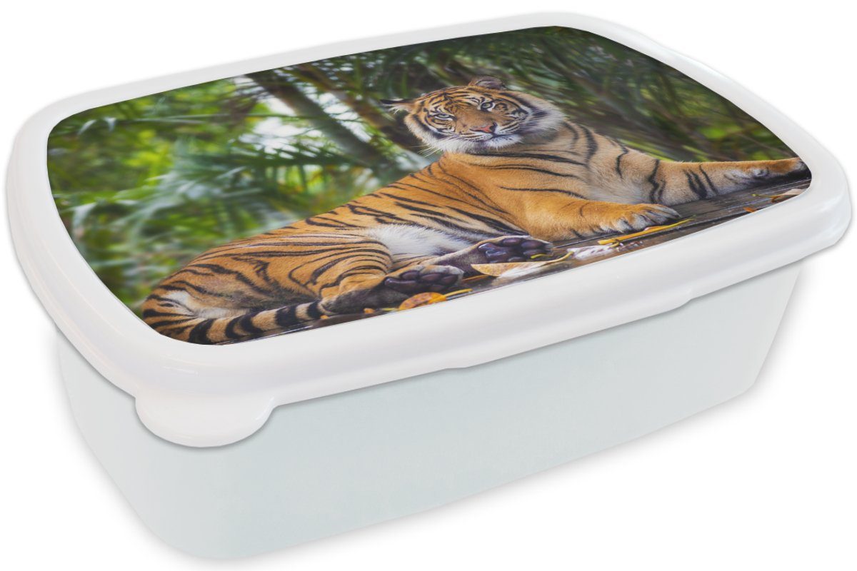 Kunststoff, Brotdose, weiß Kinder für - (2-tlg), Lunchbox Erwachsene, Tiger Tiere - MuchoWow für Wald Brotbox und Jungs Mädchen - Dschungel, und