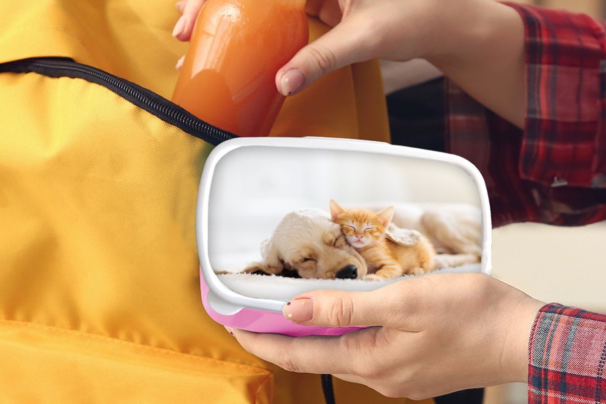 rosa Kunststoff, Mädchen, Kunststoff Lunchbox Brotdose Kinder, (2-tlg), Brotbox für Kätzchen - - MuchoWow Tiere Snackbox, Erwachsene, - Hund Rot,