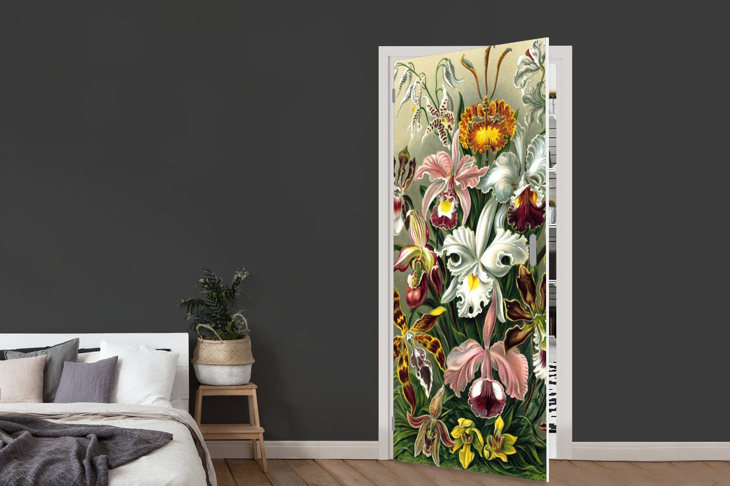 Türtapete Tür, - Kunst, 75x205 Türaufkleber, Haeckel cm St), MuchoWow für bedruckt, Orchidee Fototapete - (1 Matt,