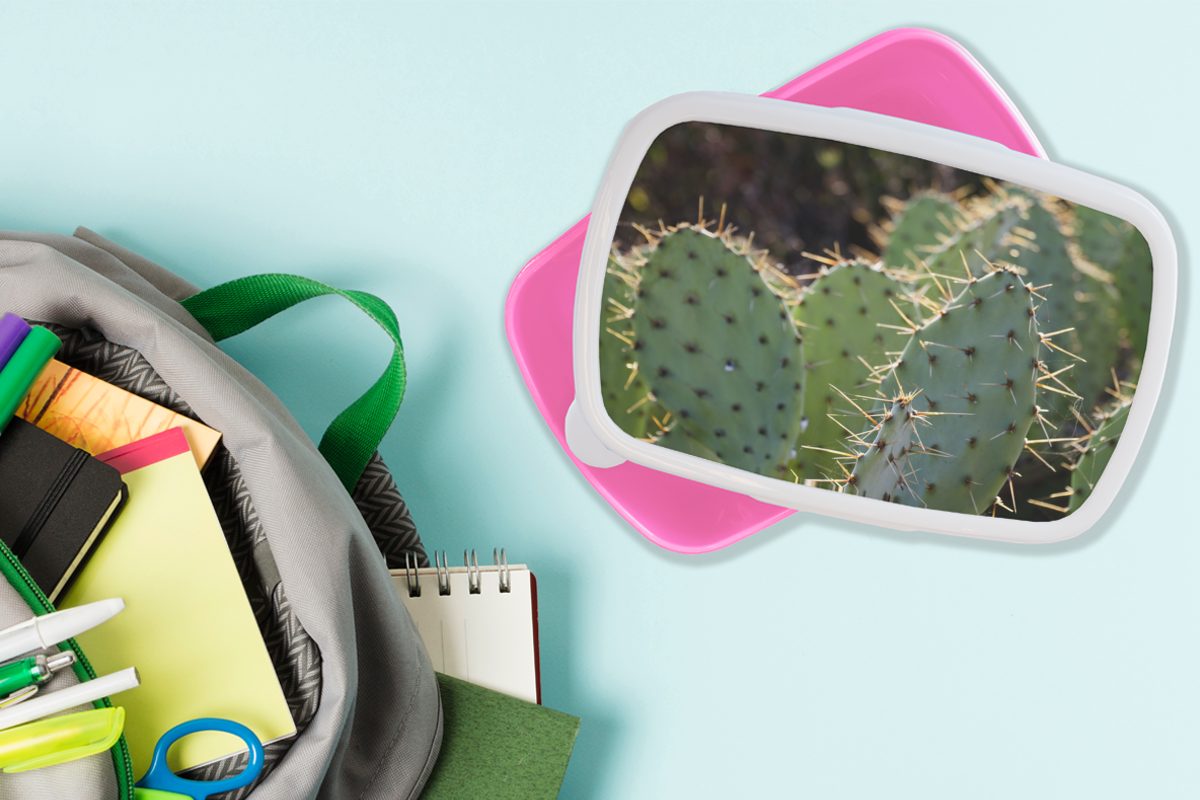 Botanischer Lunchbox für Fotodruck, Mädchen, Brotdose (2-tlg), MuchoWow Brotbox Kaktus Erwachsene, Kunststoff, Snackbox, Kinder, rosa Kunststoff