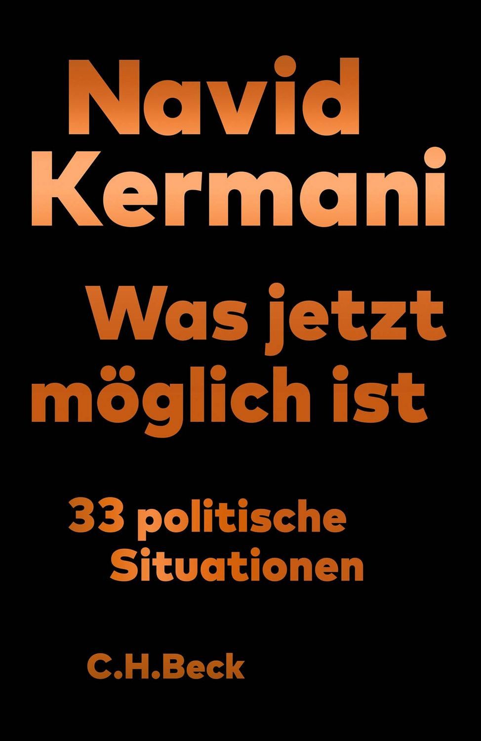 Sachbuch Was jetzt möglich ist 33 politische Situationen Navid Kermani