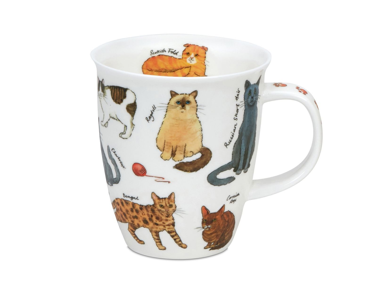 Dunoon Tasse Bone China Kaffeetasse 480ml Nevis Cats Becher mit Katzenrassen Motiv, 1-tlg., Spülmaschinengeeignet