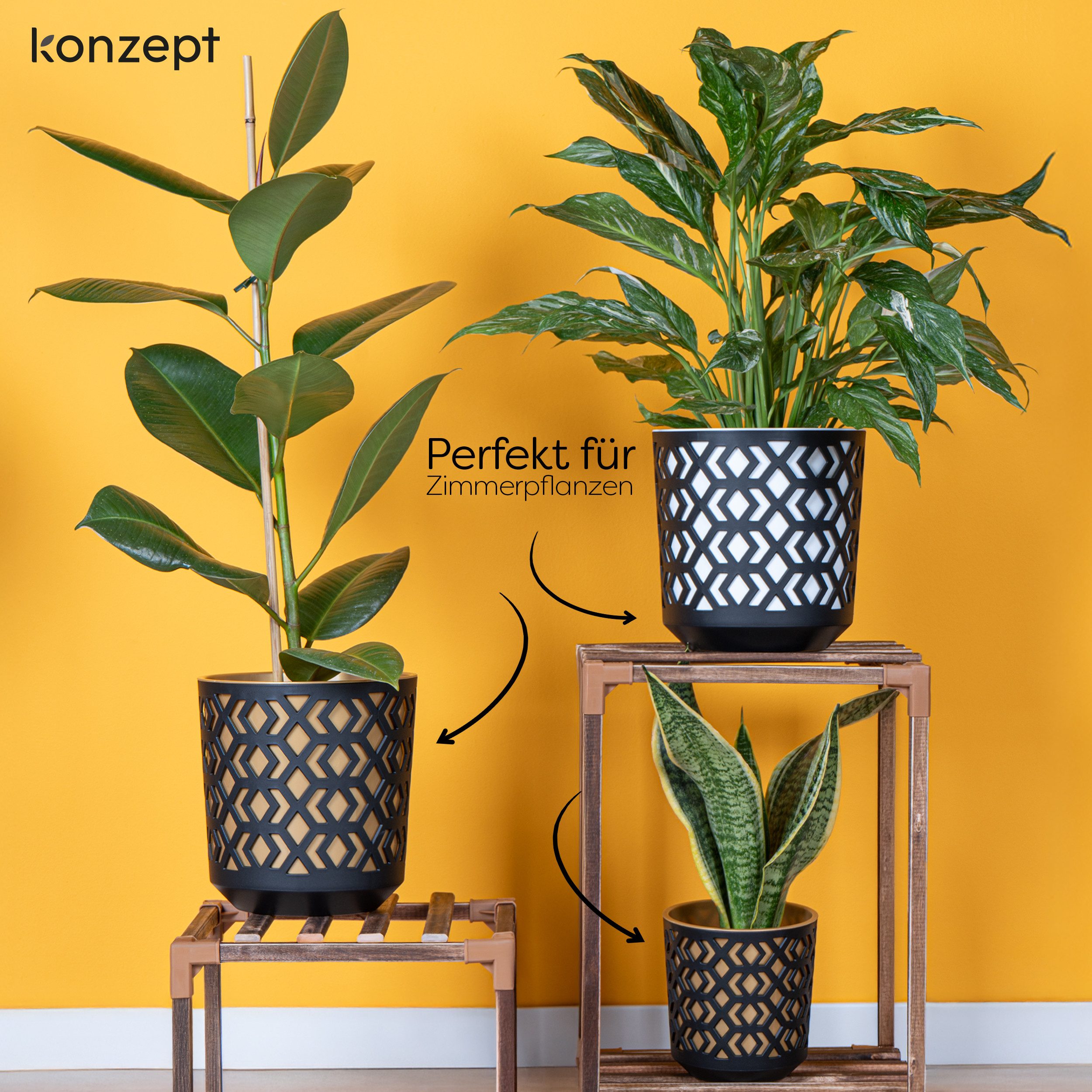 KONZEPT Blumentopf Übertopf Set für Zimmerpflanzen günstig online kaufen