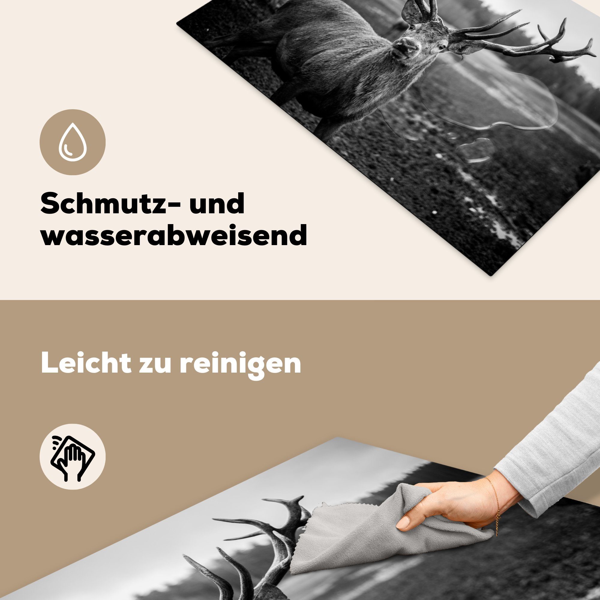 Hirsch Natur, Tiere und - - küche Ceranfeldabdeckung, (1 Schwarz - MuchoWow tlg), Geweih Arbeitsplatte weiß für Herdblende-/Abdeckplatte - Vinyl, cm, 77x51