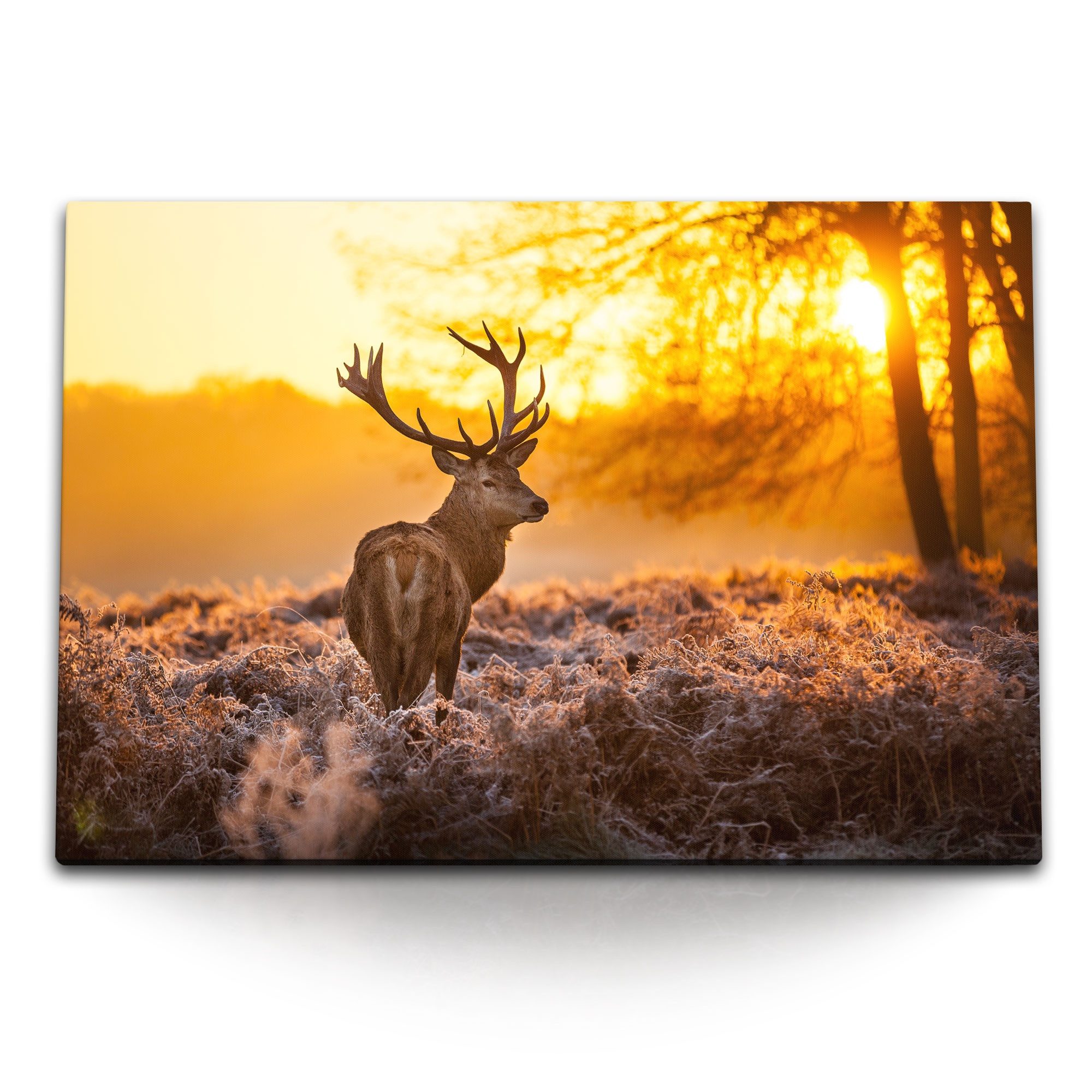 Sinus Art Leinwandbild 120x80cm Wandbild auf günstig online kaufen