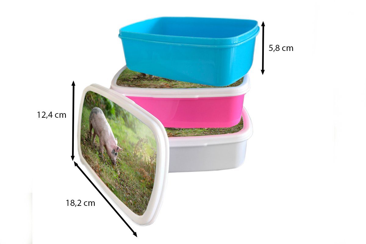 Kunststoff Kinder, Lunchbox Snackbox, Mädchen, Wald Schwein (2-tlg), - rosa Gras, Kunststoff, - für Brotbox MuchoWow Erwachsene, Brotdose
