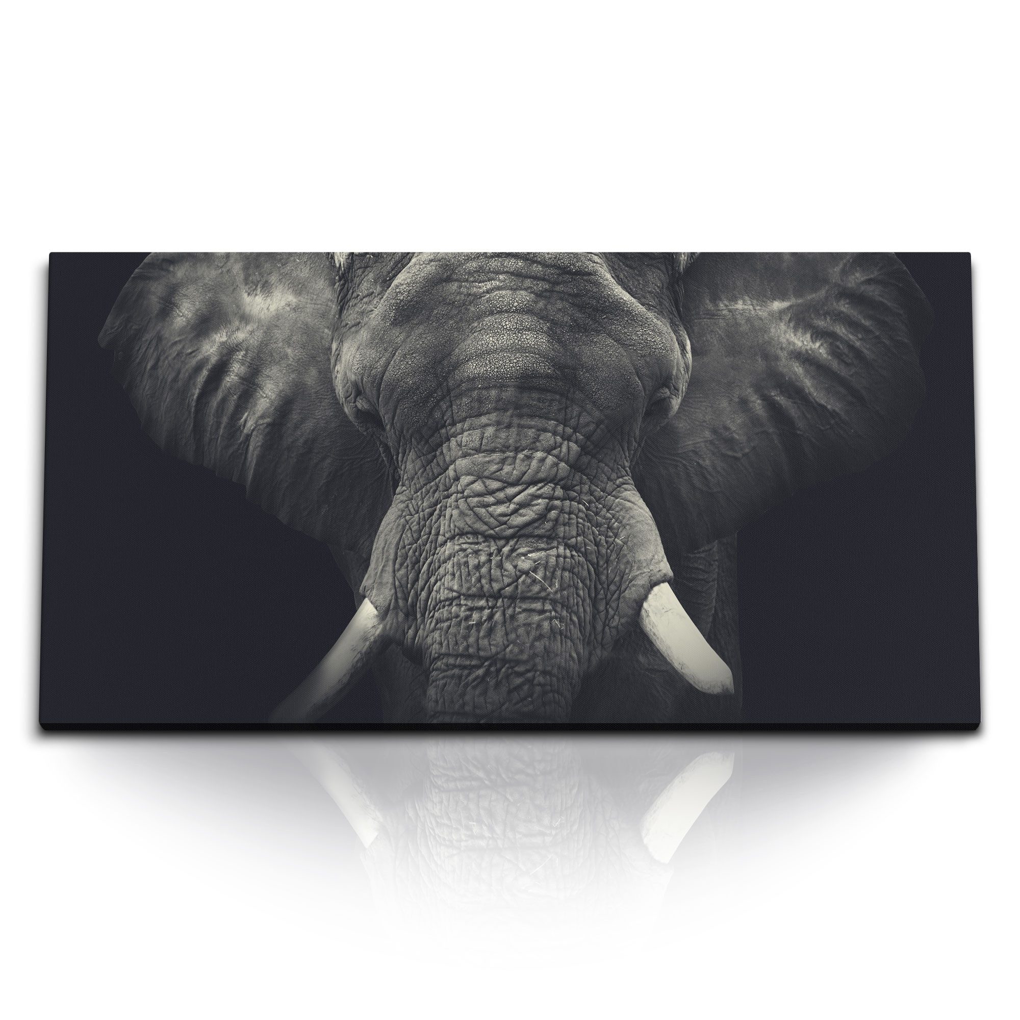 Leinwandbild Kunstdruck Bilder 120x60cm Elefanten Porträt Tierfotografie Dunkel Sch
