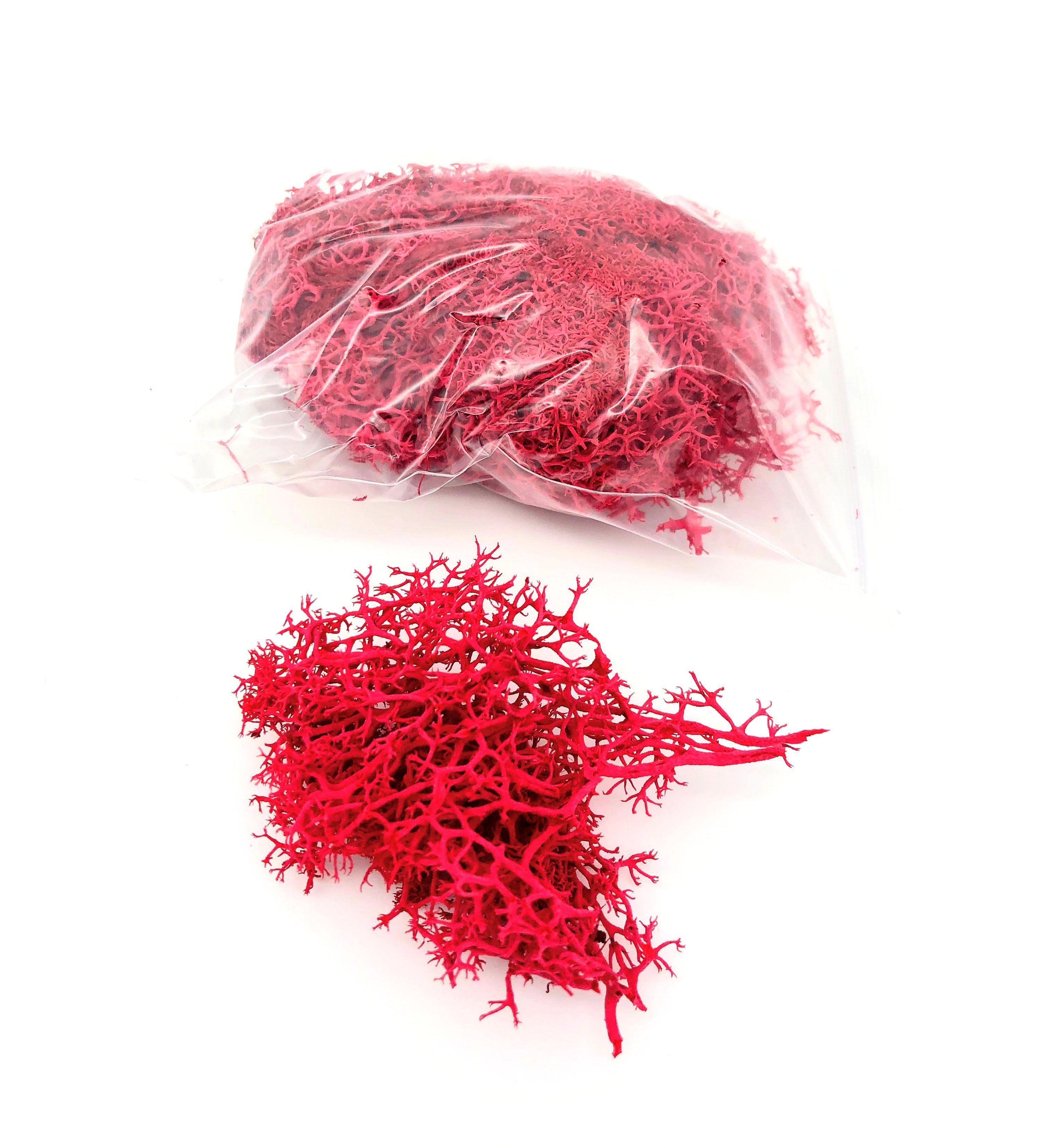 Trockenblume Getrocknetes Moos in verschiedenen Farben - Rot, Kunstharz.Art