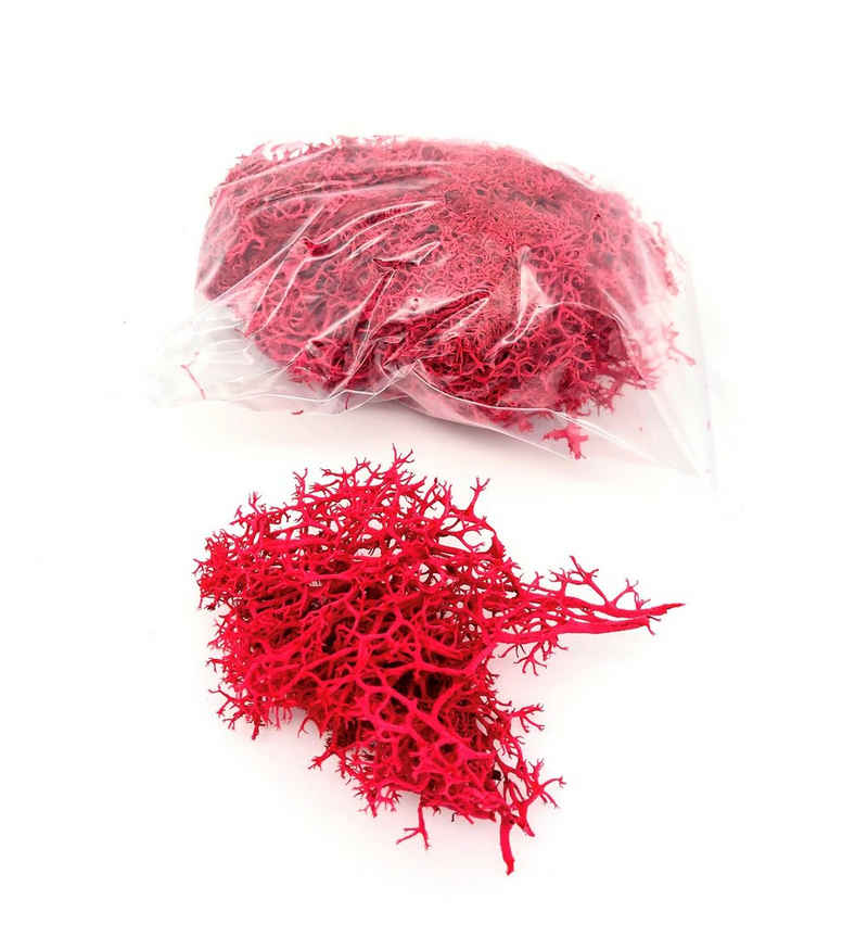Trockenblume Getrocknetes Moos in verschiedenen Farben - Rot, Kunstharz.Art