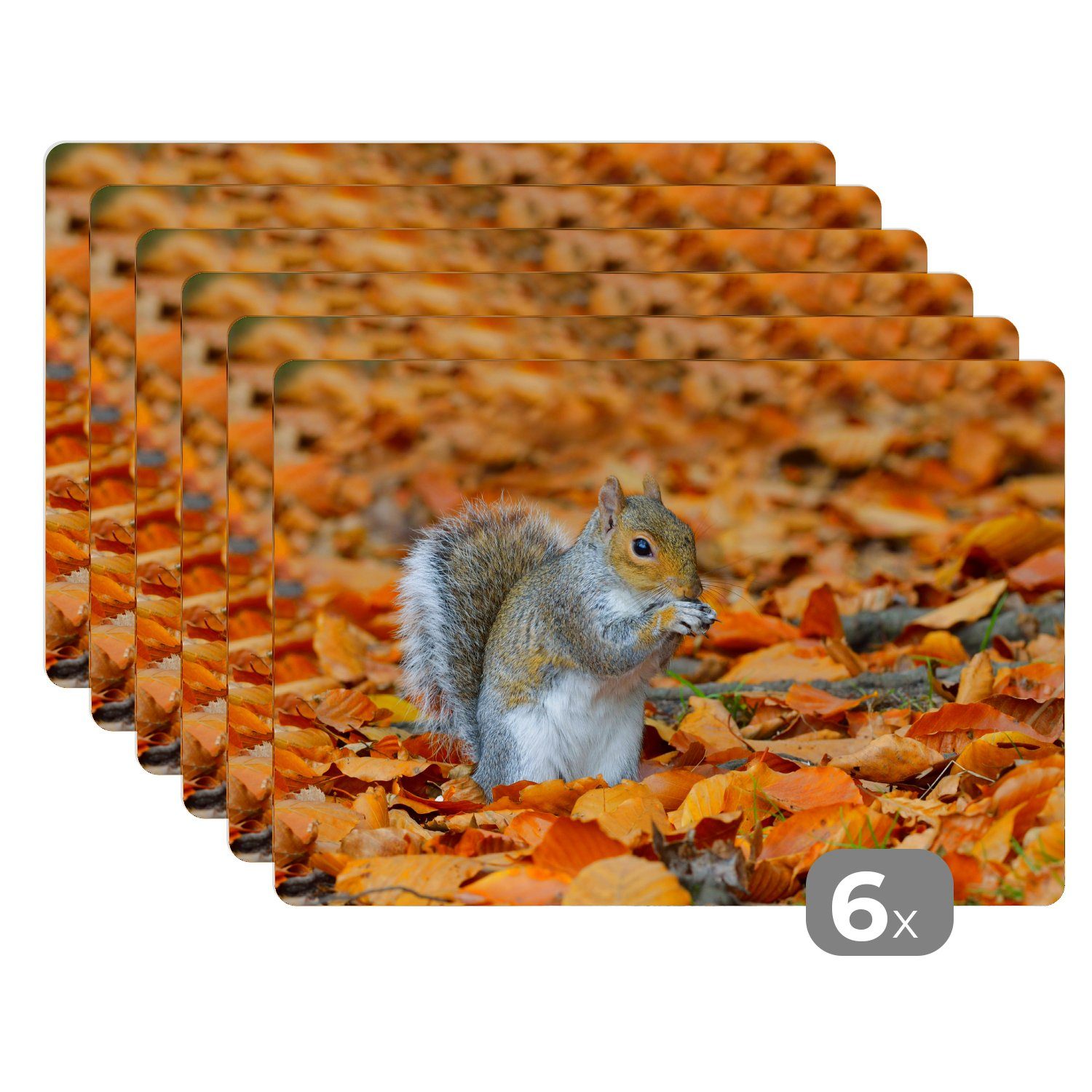 Platzset, Eichhörnchen zwischen dem Herbstlaub, MuchoWow, (6-St), Platzset, Platzdecken, Platzmatte, Tischmatten, Schmutzabweisend | Tischsets