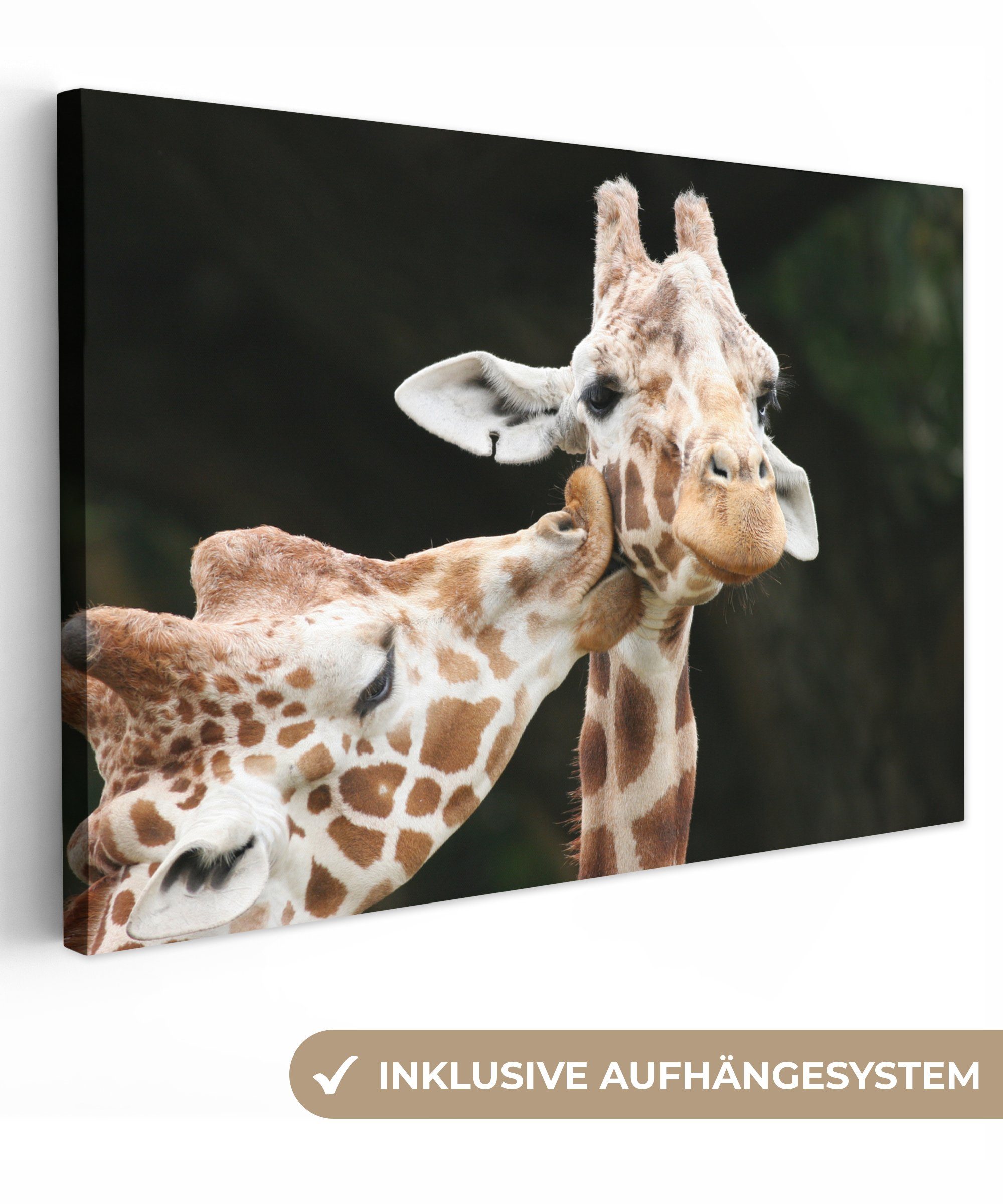 OneMillionCanvasses® Leinwandbild Giraffe - Tiere - Schwarz, (1 St), Wandbild Leinwandbilder, Aufhängefertig, Wanddeko, 30x20 cm