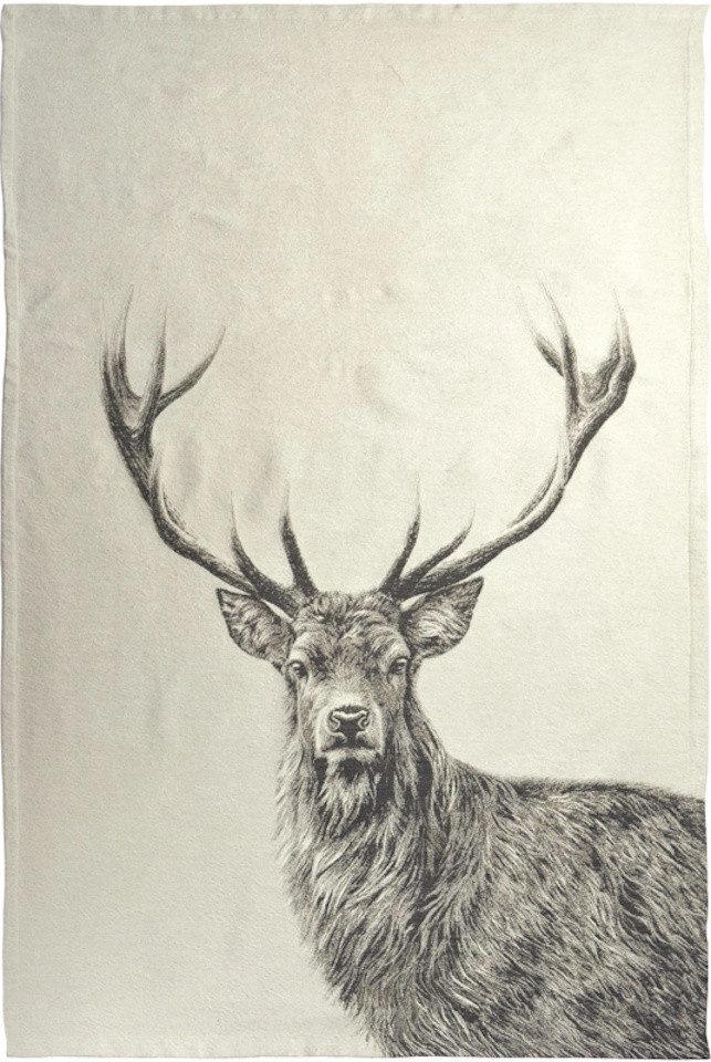 Plaid Big Buck Cloud, sander table + home