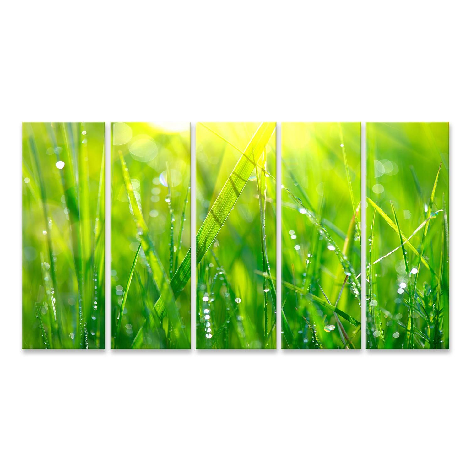 islandburner Leinwandbild auf Leinwand Grünes Gras mit Wassertropfen im - 5-teilig XXL