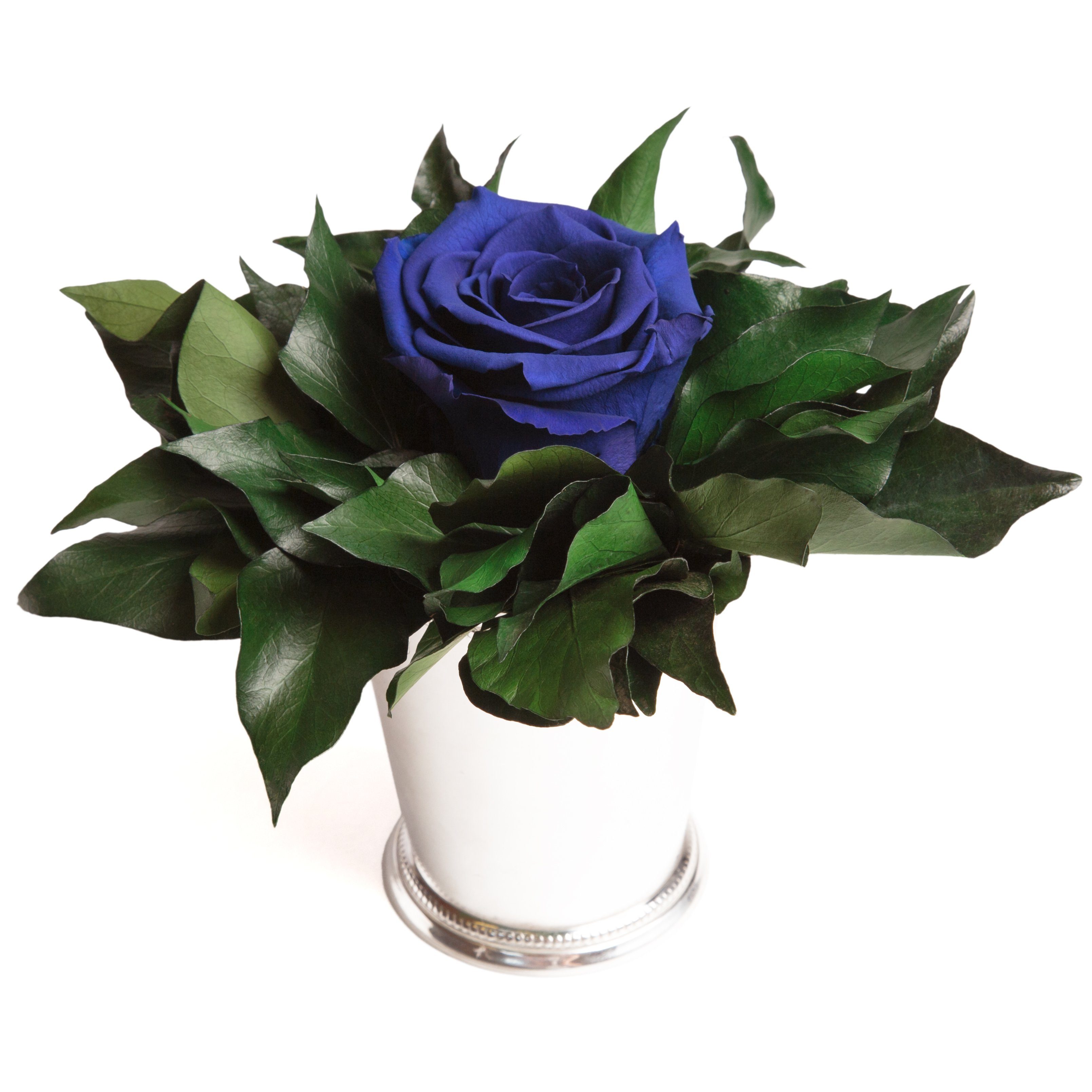 Echte 1 Blau Heidelberg, SCHULZ Geschenkidee lange Infinity Künstliche für Höhe Rose, ROSEMARIE 12 Becher haltbar cm, Frauen Zimmerpflanze Blume silberfarben Rose