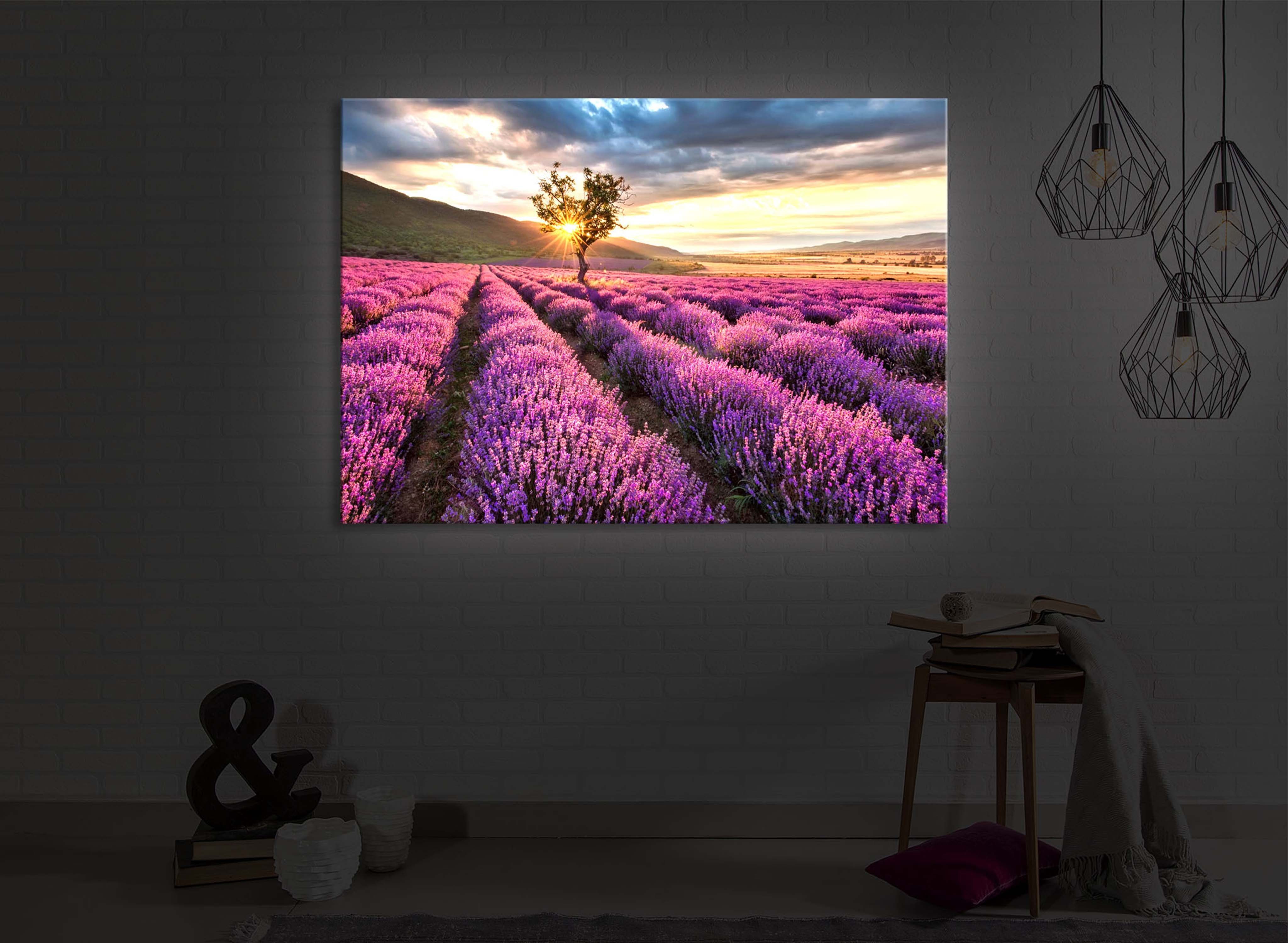 Baum Fernbedienung lighted 60x40cm, mit LED-Bild / Leuchtbild Provence front lightbox-multicolor einsamen mit