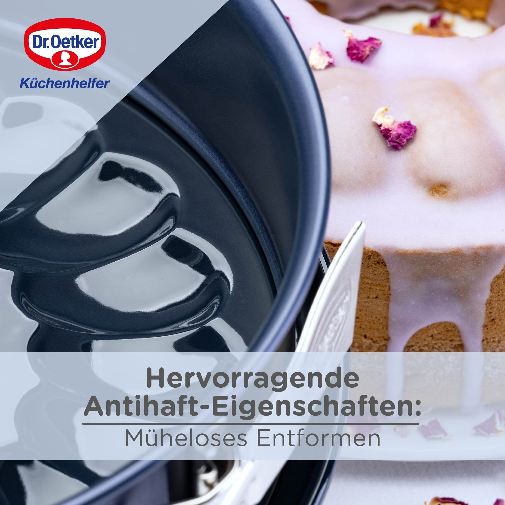 Dr. Oetker Küchenhelfer Springform Springform mit Emaille-Servier- und Rohrboden, Antihaft-Ring